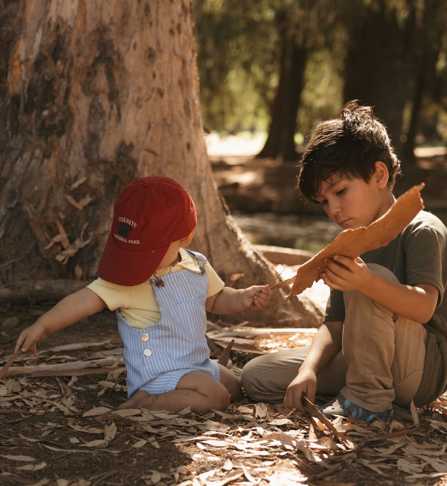 Two young boys sitting under a tree in a forest, sharing and playing with a piece of bark outdoors.