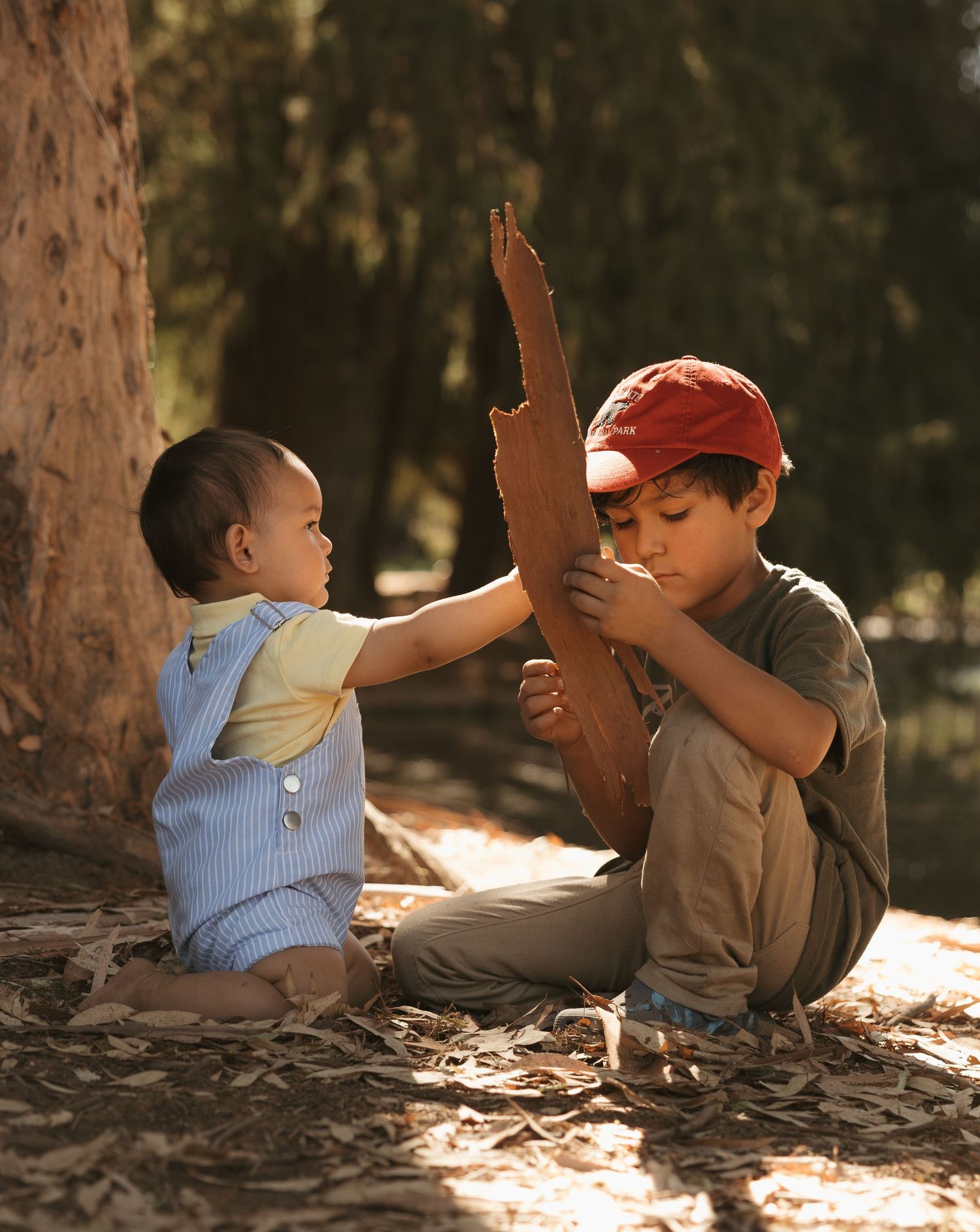 Two young boys sit outdoors under trees, sharing a large piece of bark in warm, dappled sunlight.