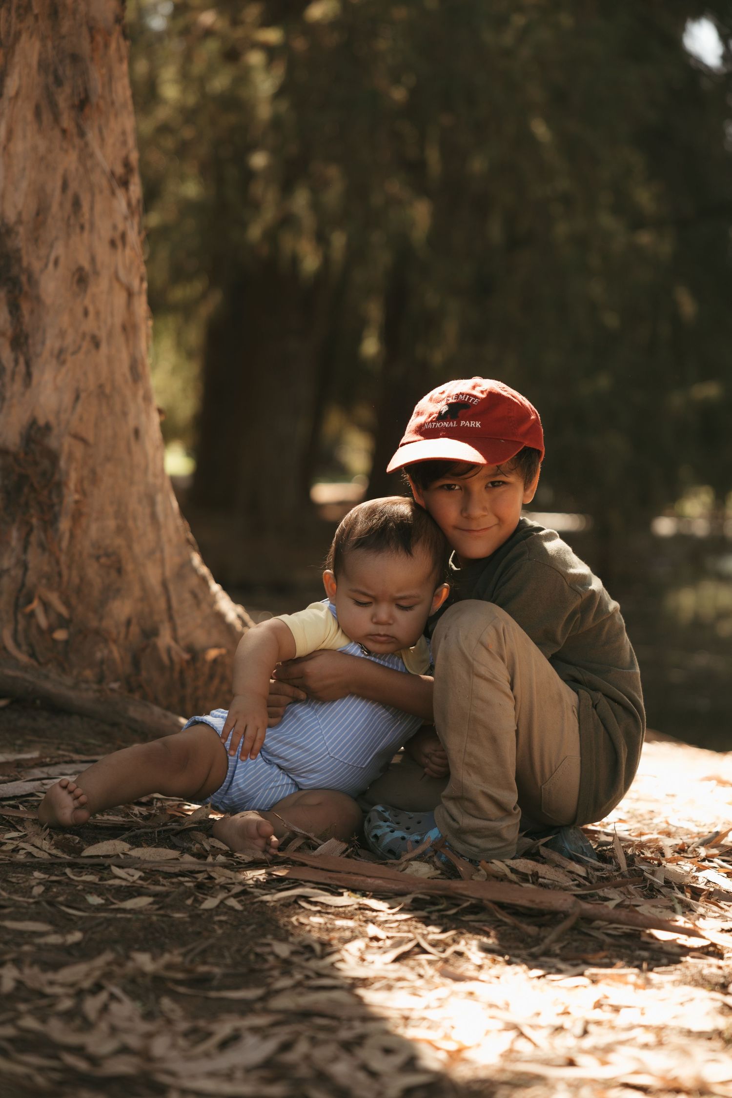 Older boy in red cap hugging toddler sibling while sitting under a tree on fallen leaves in a sunlit forest.