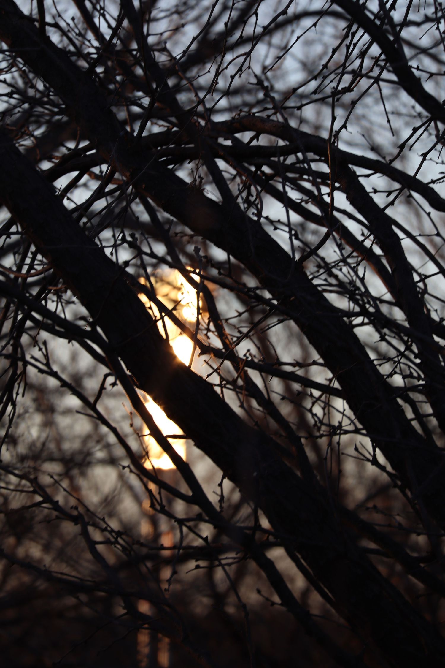 outside