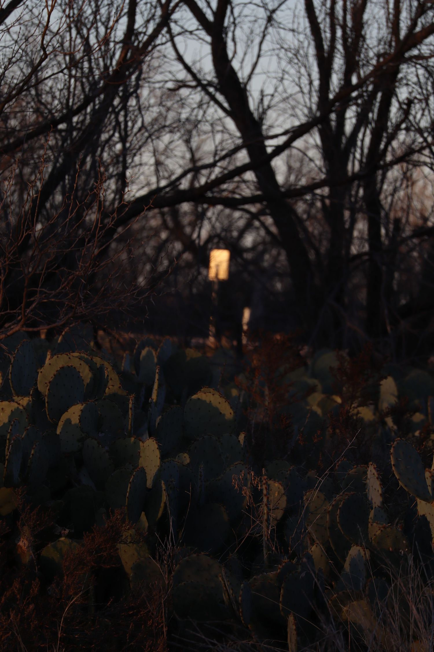 outside