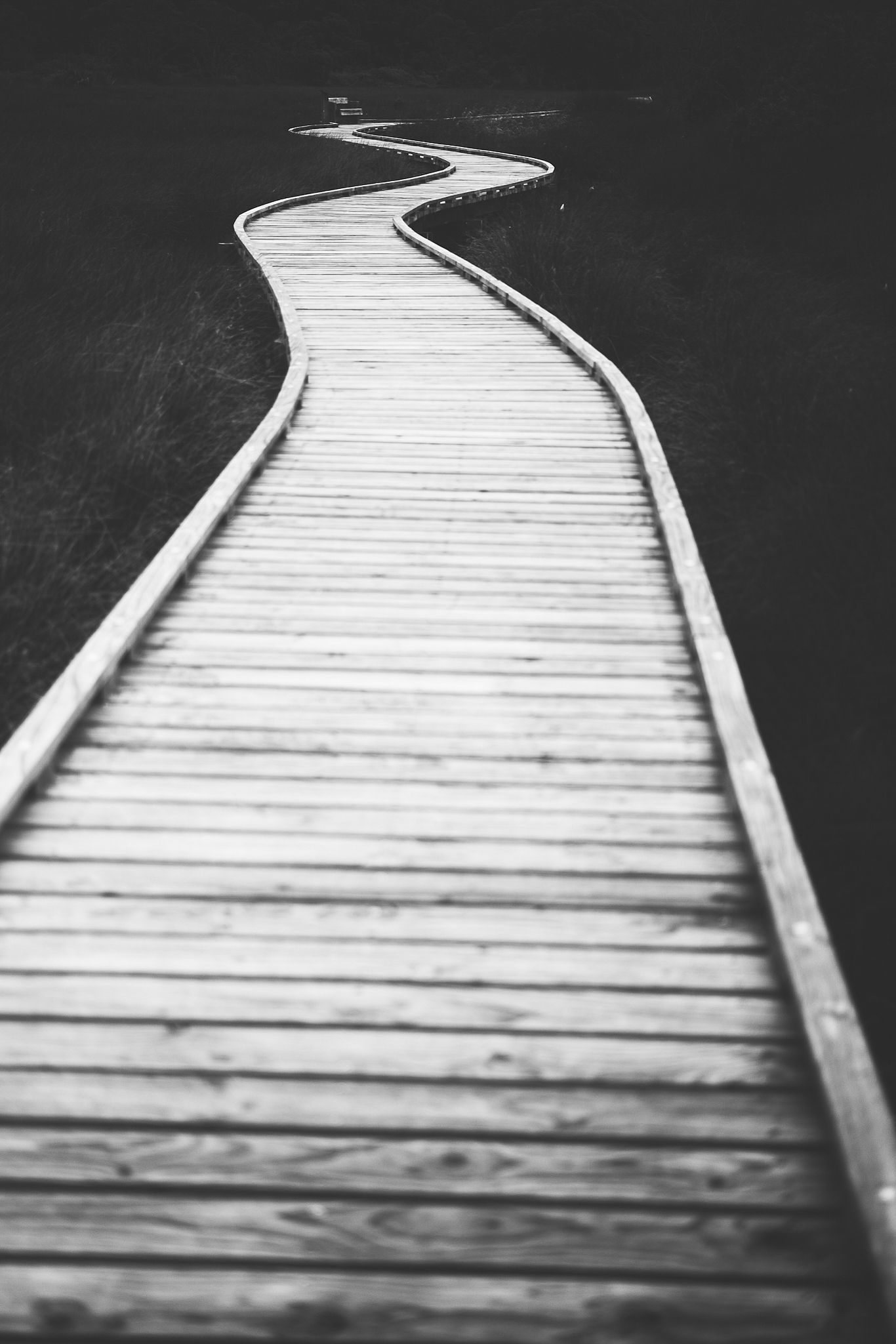 Walking in to the unknown