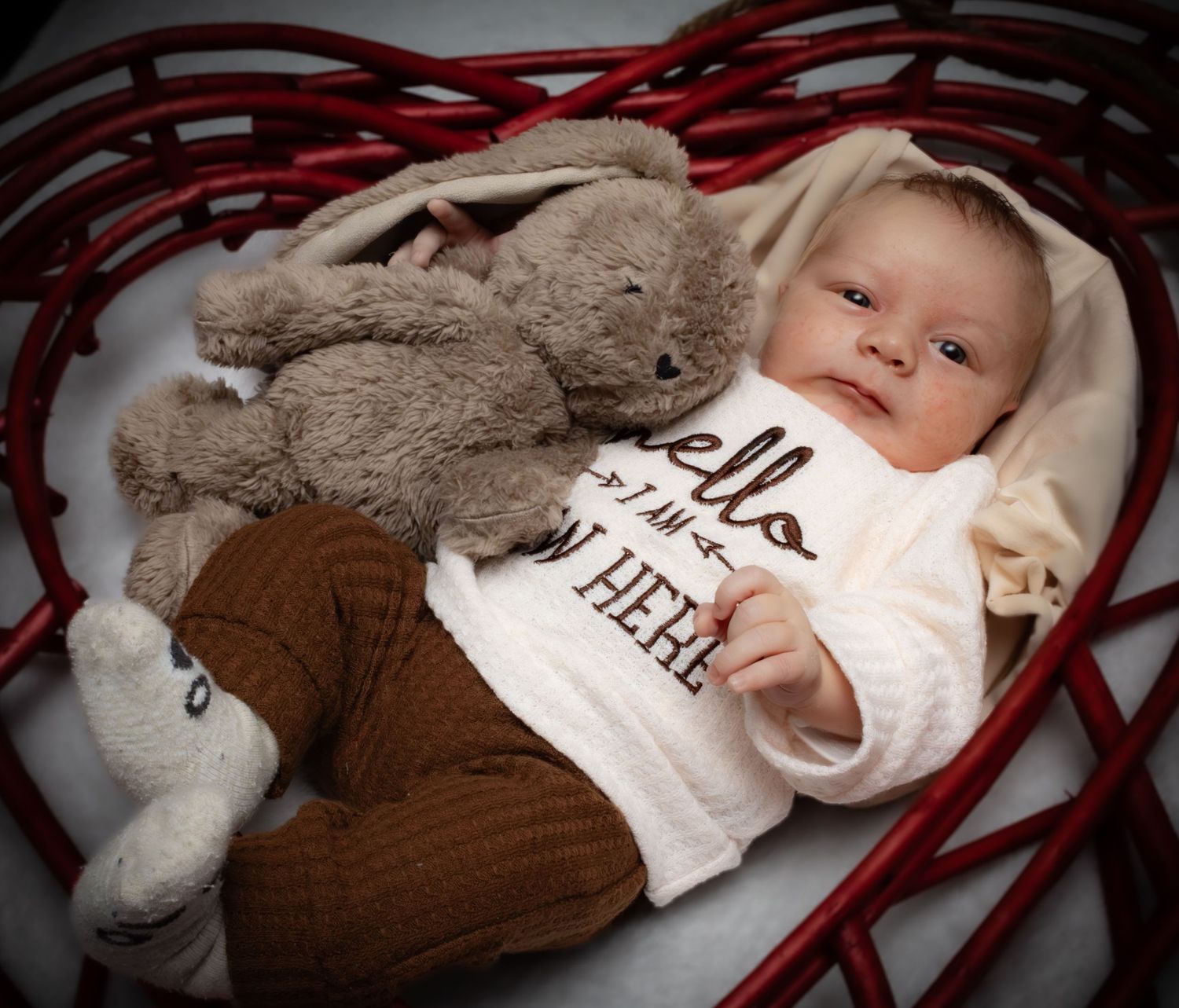 Newborn baby in heart-shaped wicker basket wearing hello onesie, snuggled with a soft gray bunny stuffed animal.