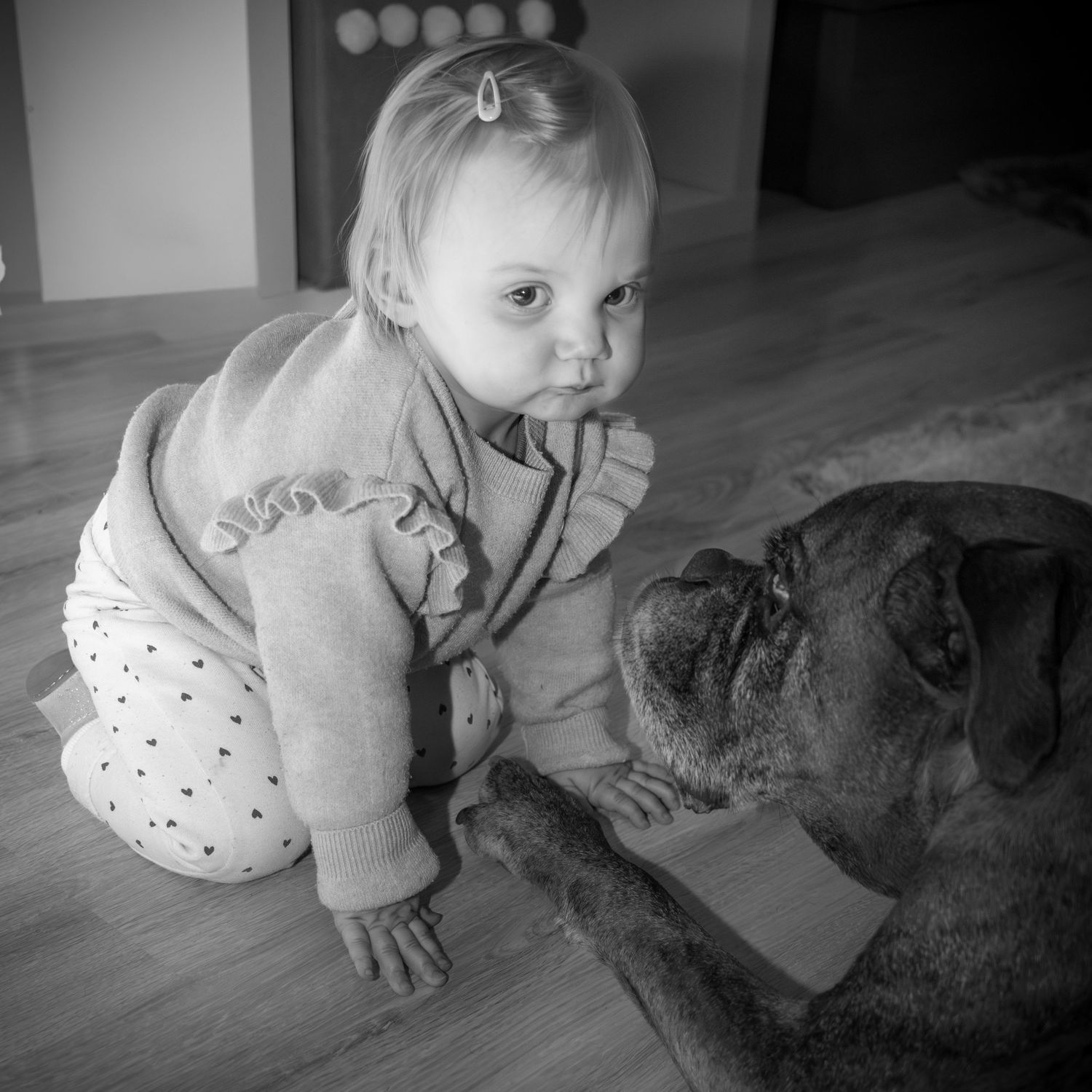 Black and white photo of a toddler in polka dot outfit curiously interacting with a large dog on a hardwood floor.