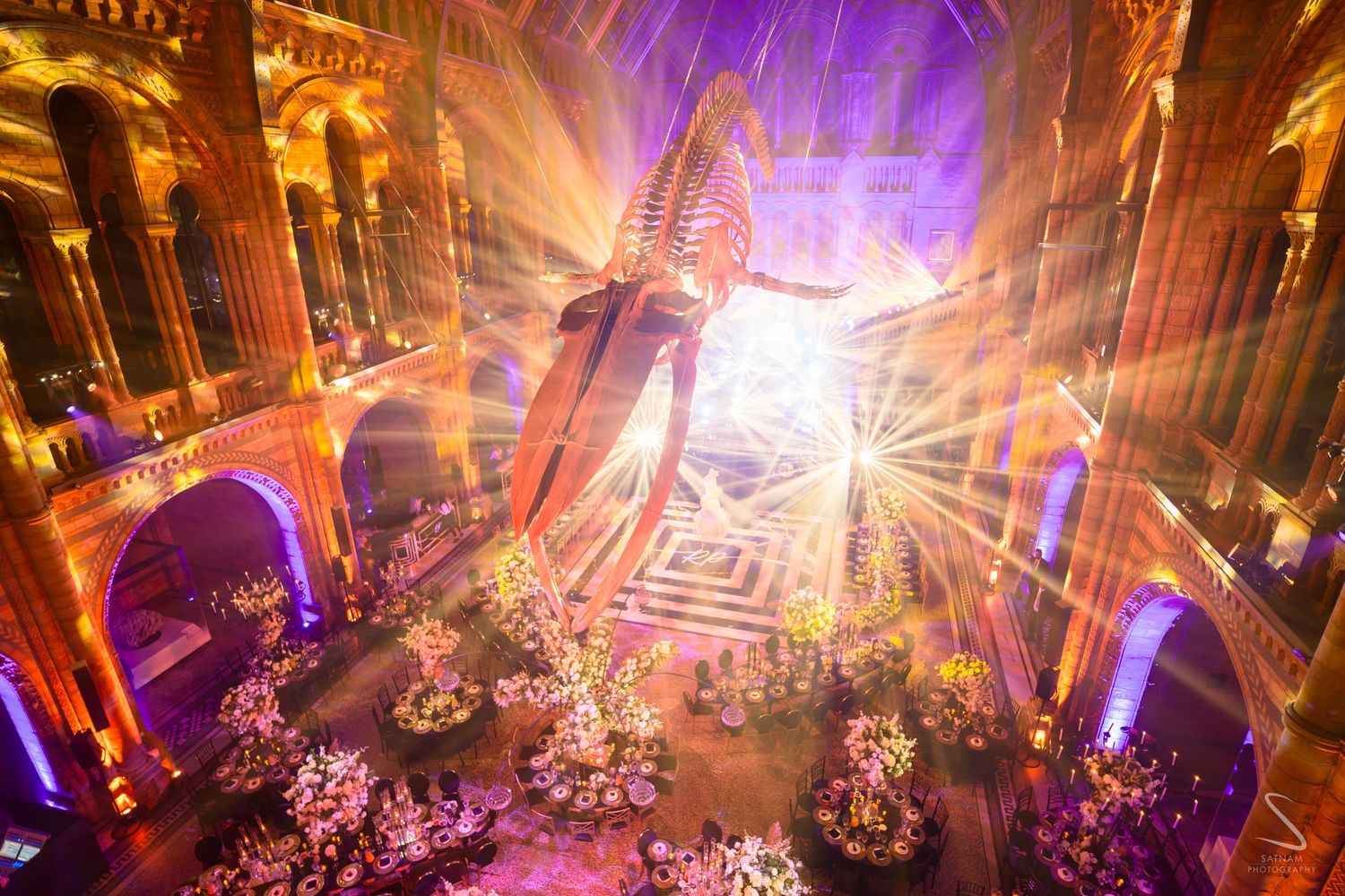 Breathtaking wedding reception inside Natural History Museum with whale skeleton, floral displays and golden light show.