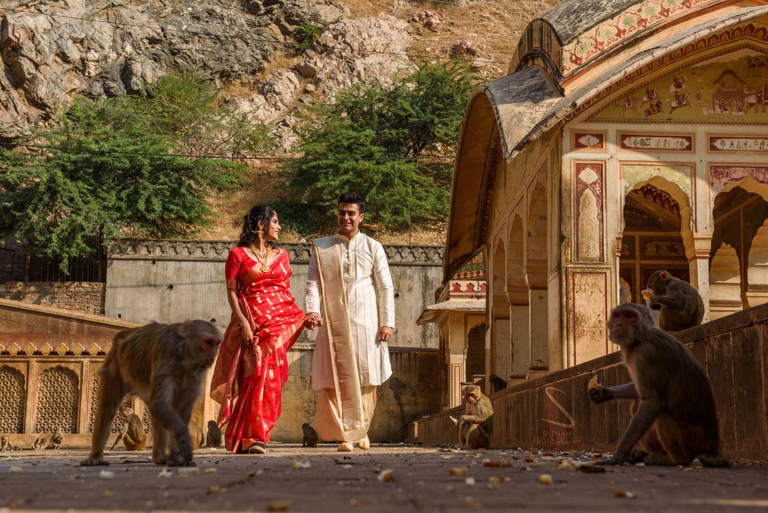 Indian couple in traditional wedding attire walking among monkeys at Galta Ji temple, Jaipur.