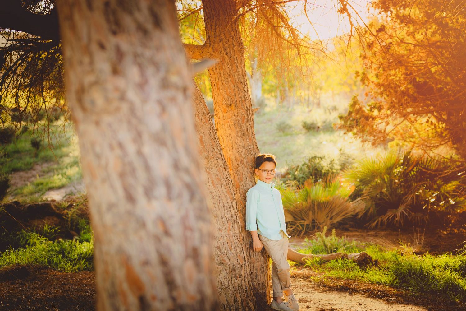 Un niño con camisa verde claro se apoya contra el tronco de un gran árbol bajo la luz dorada del bosque otoñal en su sesión de fotos.