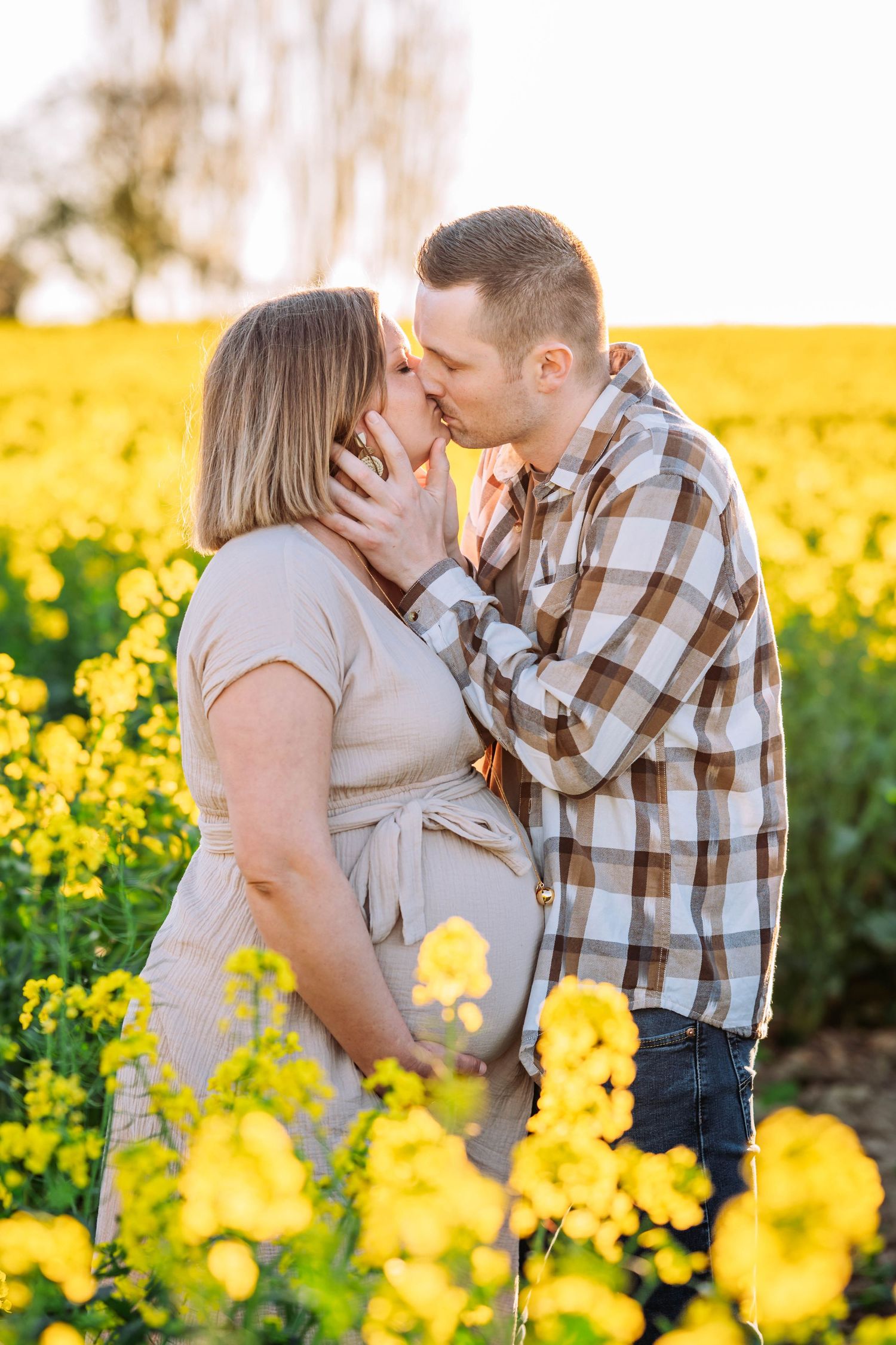 Couple kissing in a vibrant yellow flower field during golden hour, woman in maternity dress, man in plaid shirt.