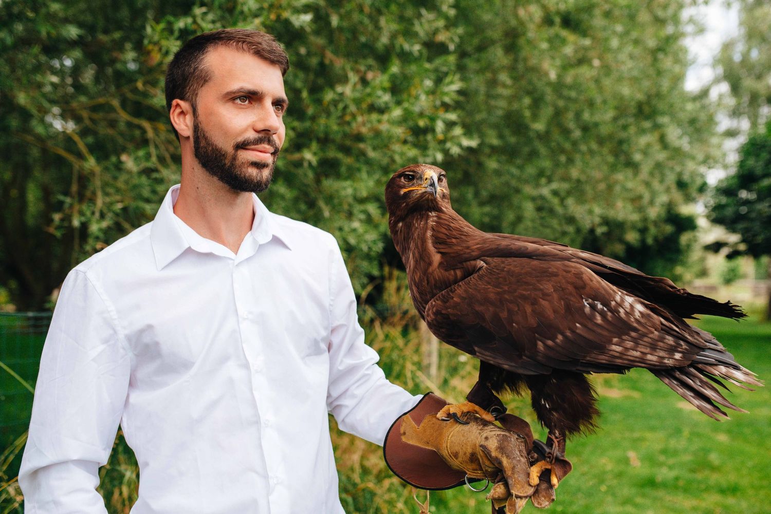 Falconer in white shirt handles majestic birds of prey in lush green outdoor setting.