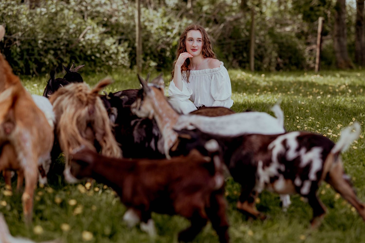 Woman in white off-shoulder dress sitting peacefully among grazing goats on a lush green farm.