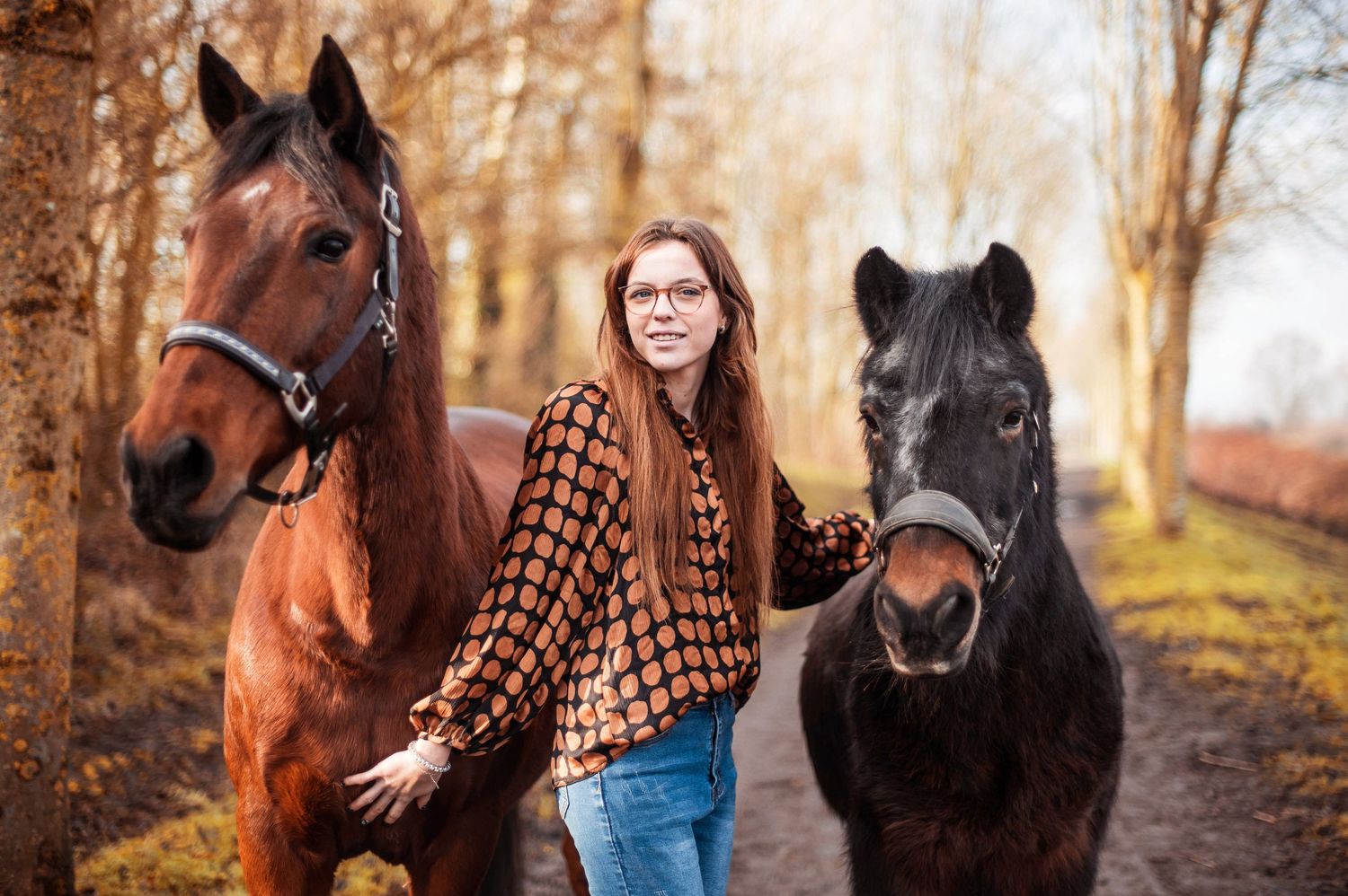 Horse and rider photographed in a scenic autumn forest with warm lighting.