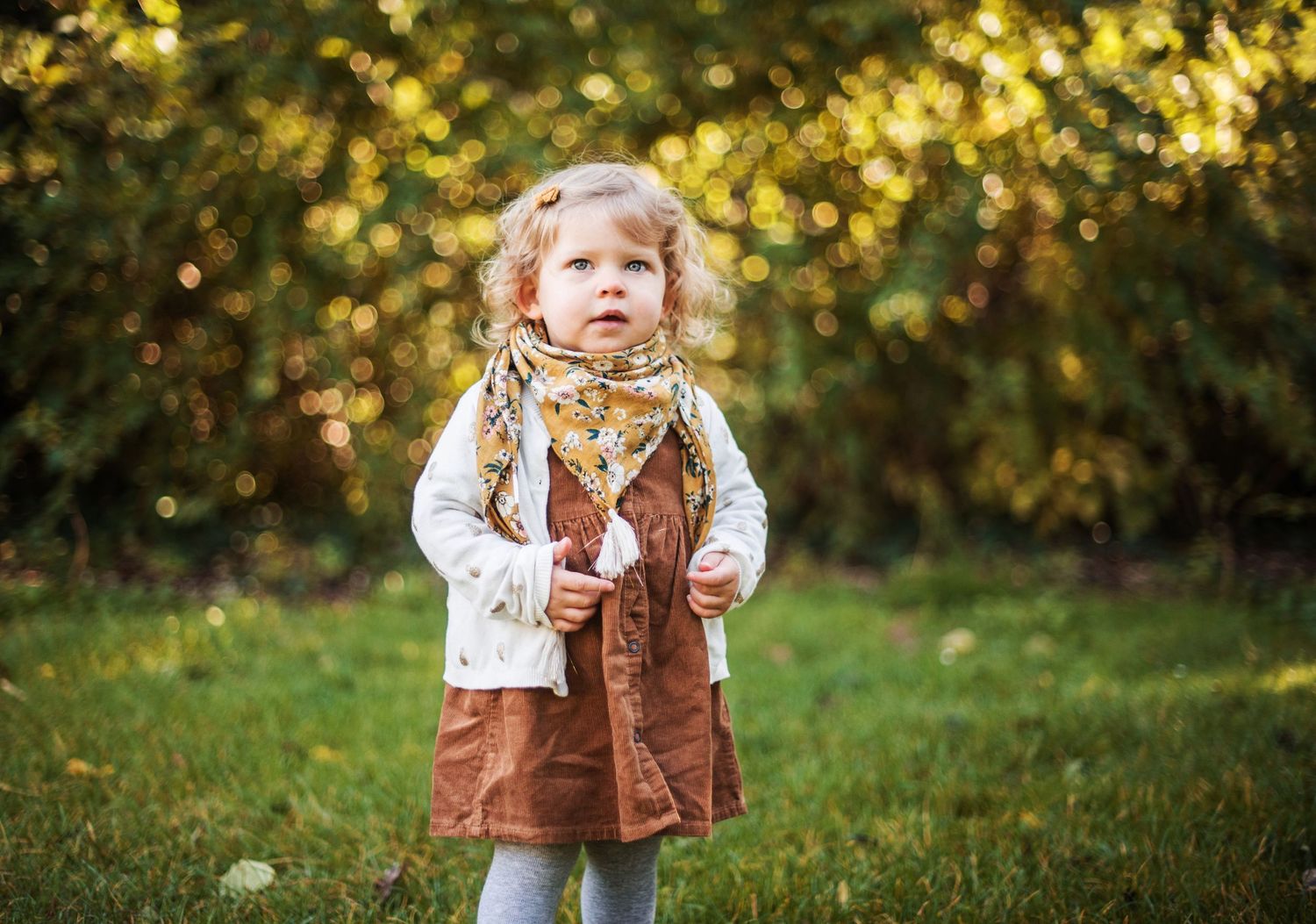 Golden hour family portrait session in a park with autumn foliage.