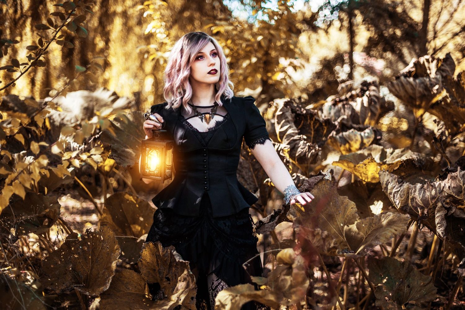 Enchanted forest photography with warm golden tones and magical lighting effects.