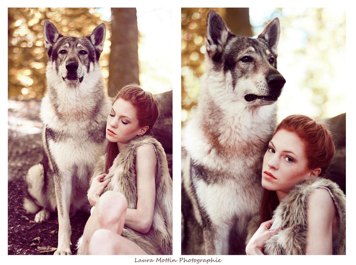 Series of intimate portraits with a majestic wolf in natural outdoor setting.