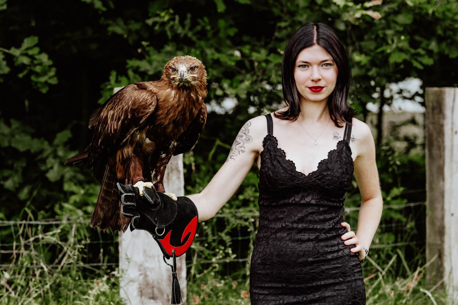 Woman in black dress holding a golden eagle on a gloved hand outdoors near green trees.