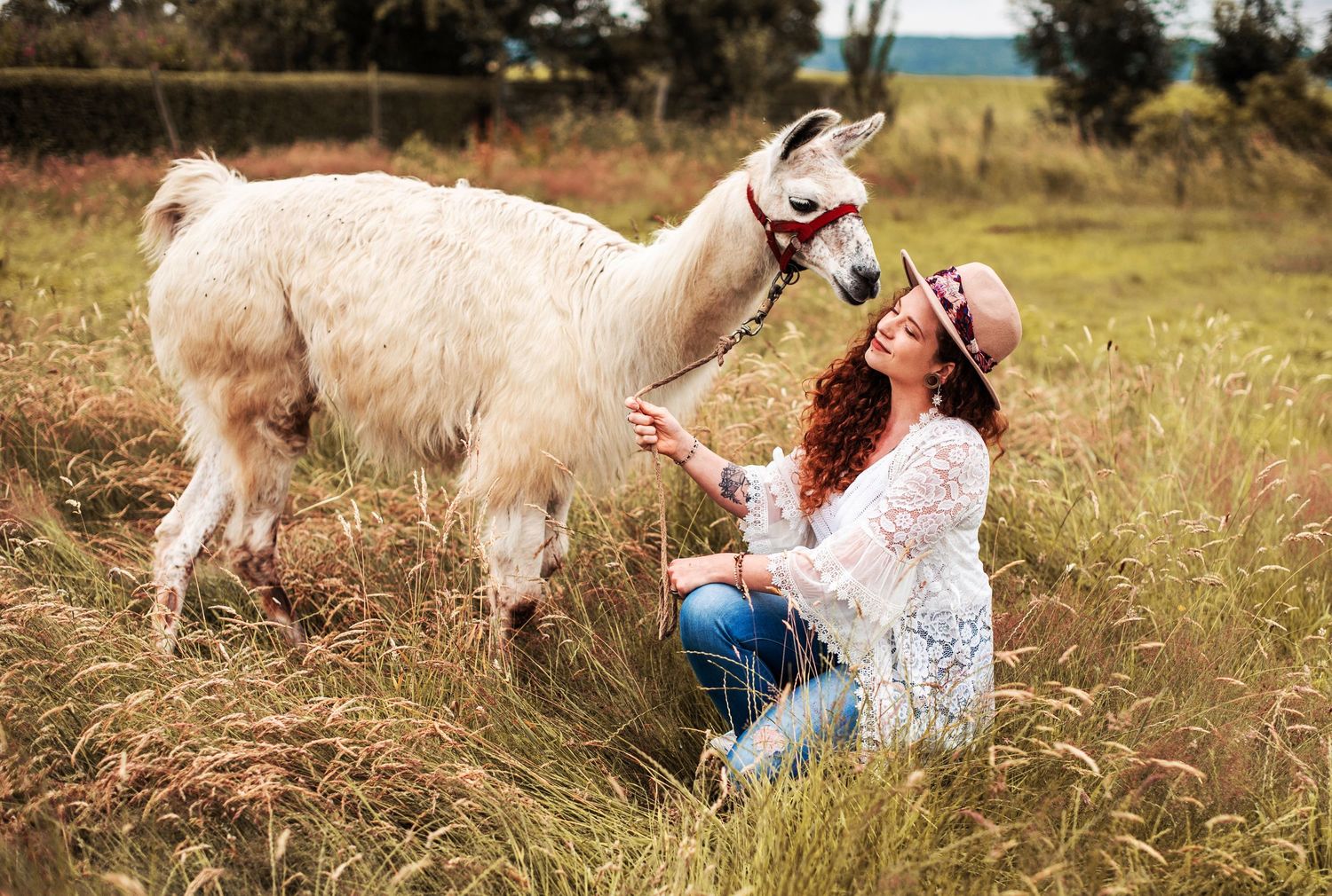 Person interacting with friendly llamas in a grassy summer field.