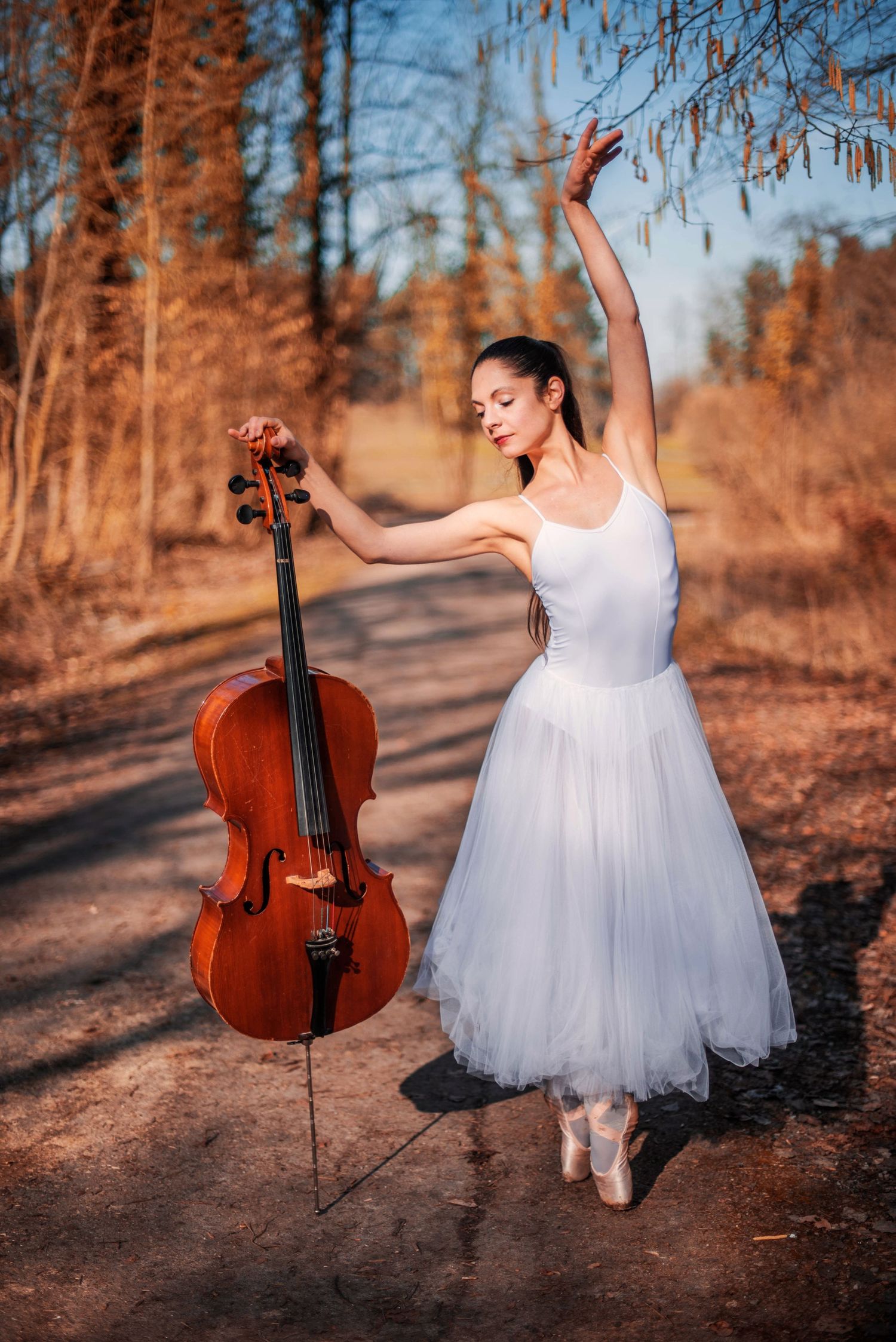Artistic ballet dancer poses with cello in autumn forest setting.