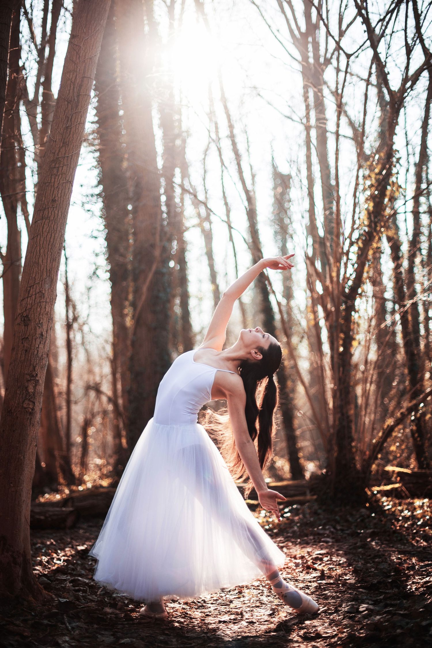Artistic dance poses captured in a dreamy forest setting with dramatic backlighting.