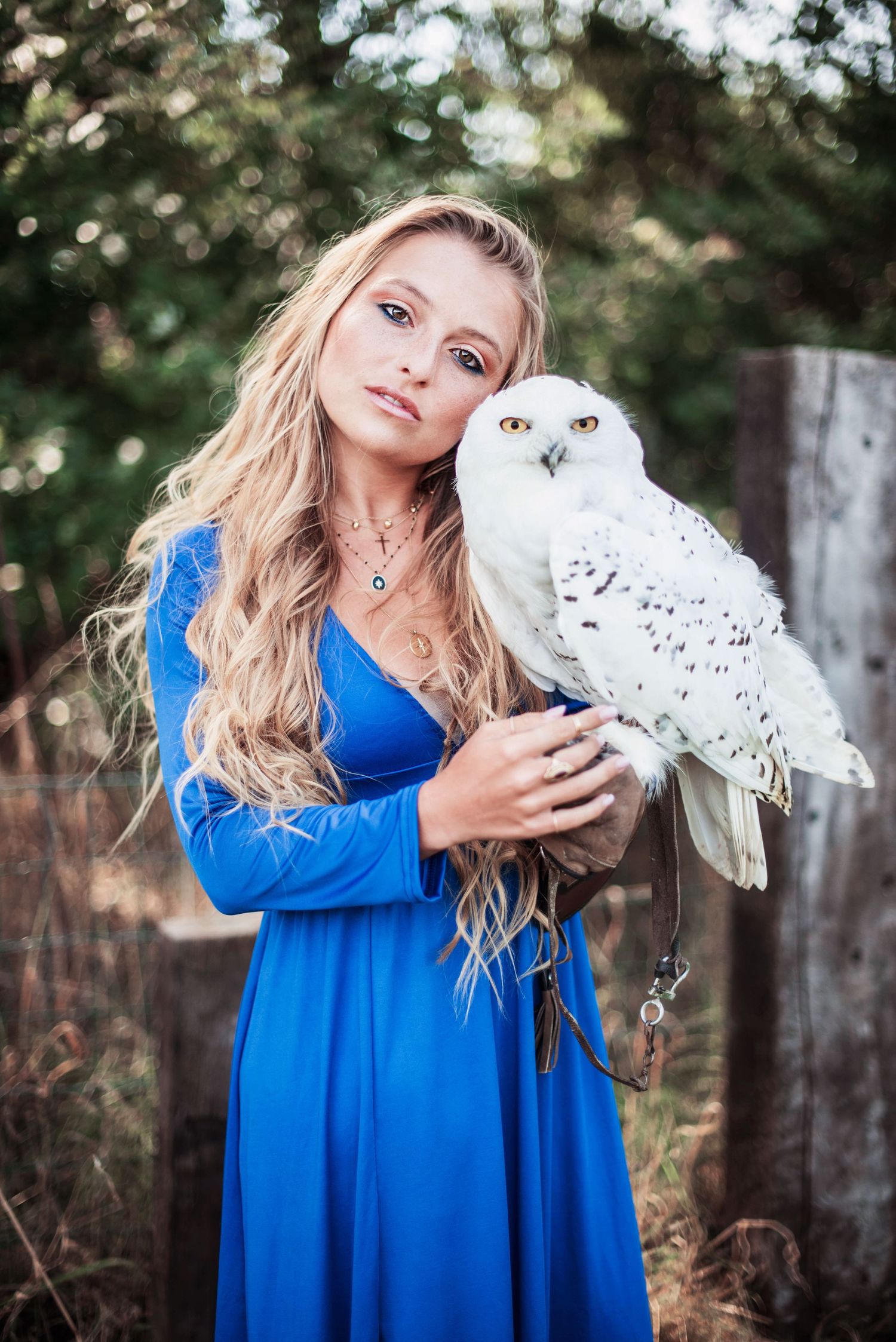 Model wearing bright blue dress holds a majestic snowy owl against natural outdoor backdrop.