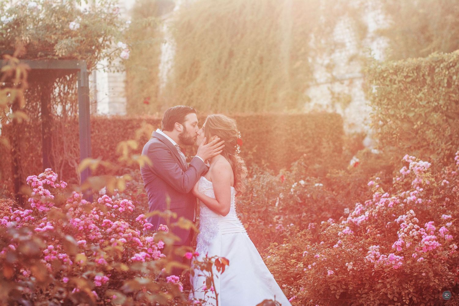 Sunlit garden with pink flowers creates a romantic backdrop.