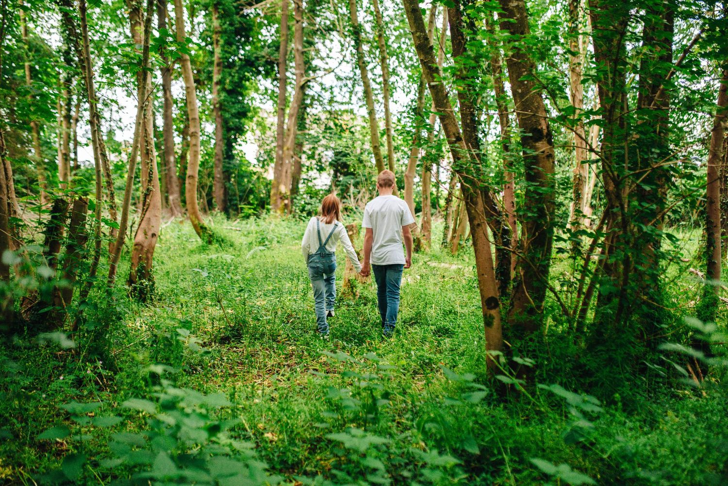 A panoramic series of family photos taken in a wooded area with tall trees.