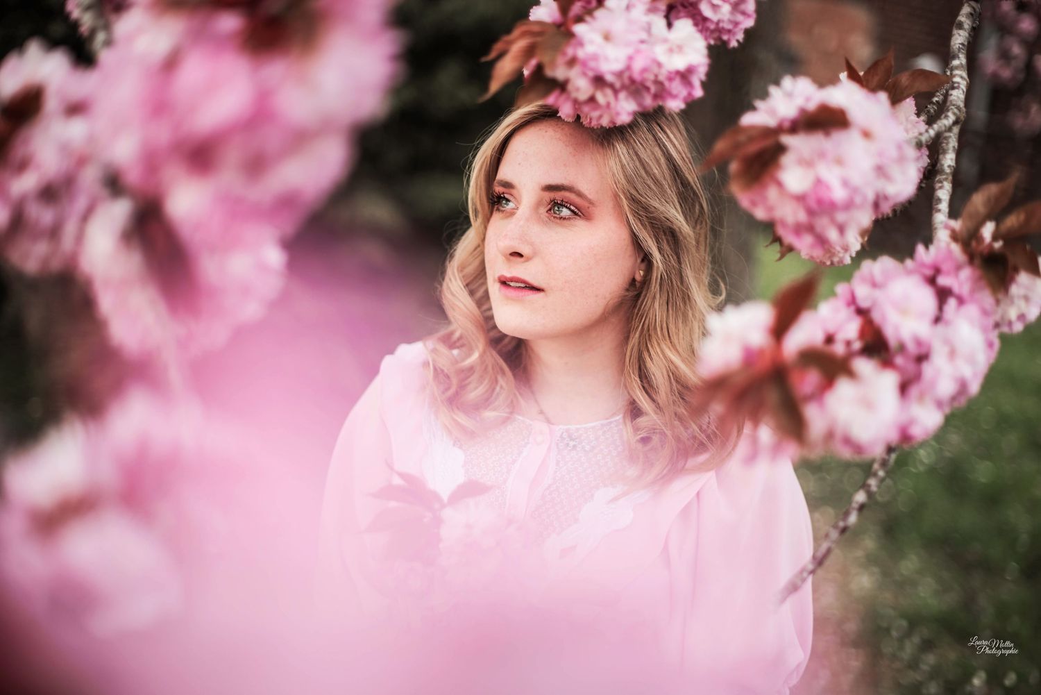 Spring portrait session with pink cherry blossoms in soft focus.