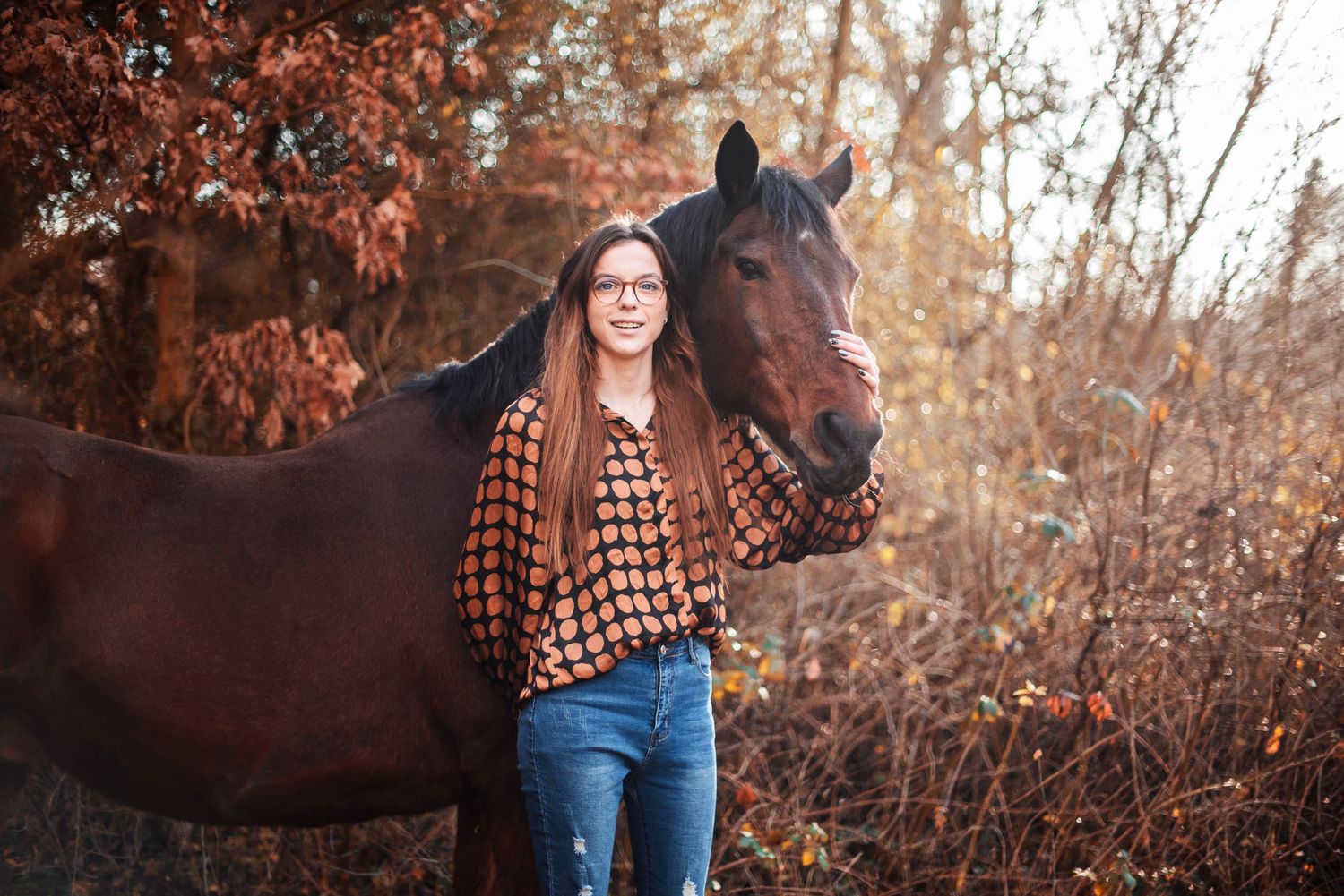 A beautiful dark horse stands in an autumn forest setting with fallen orange leaves.