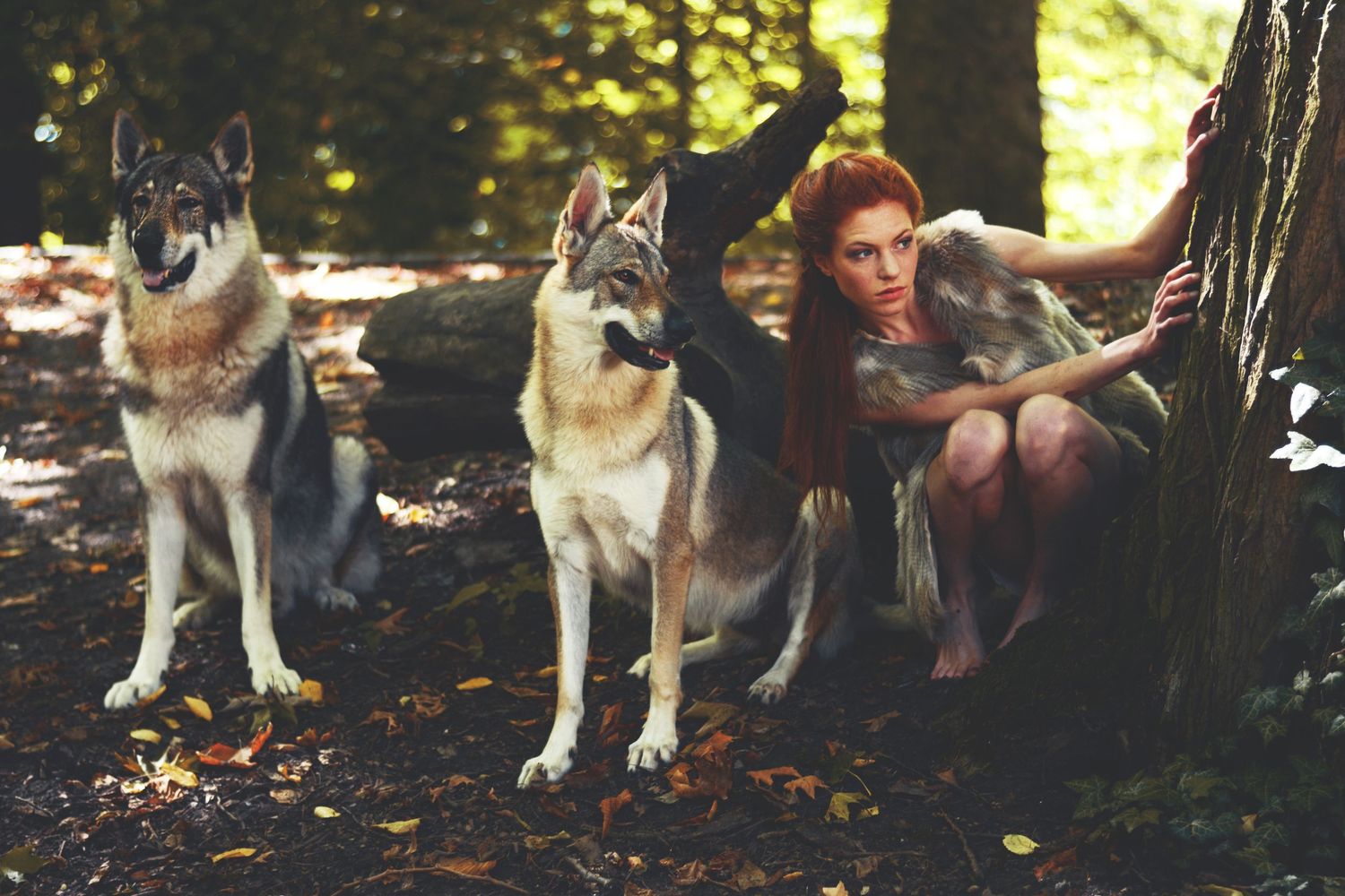 Wolf and model photo series in autumn forest with natural lighting.