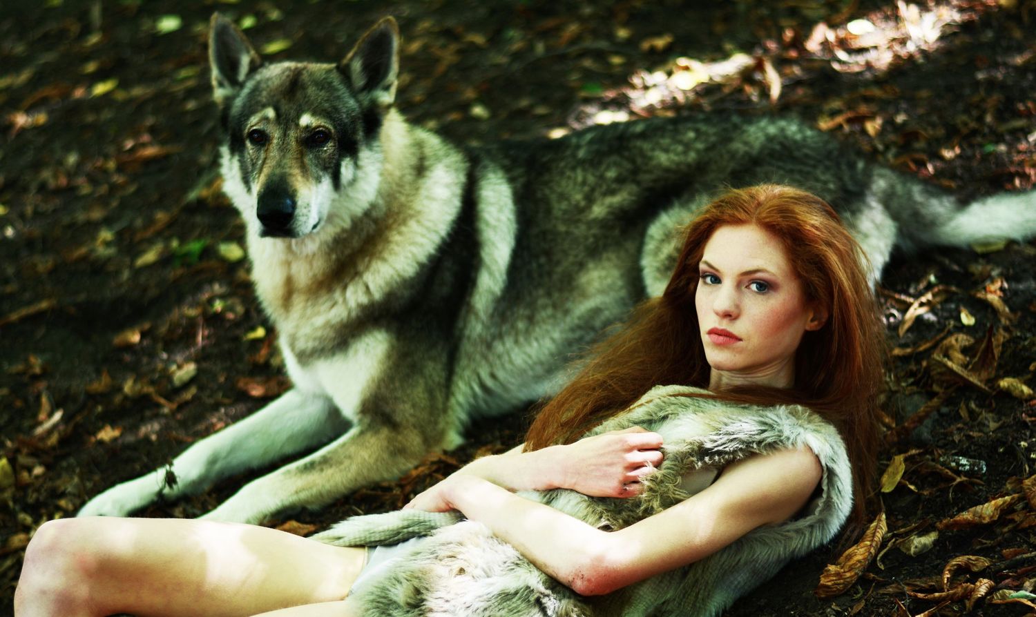 Dramatic forest photography with wolf companion in natural setting.
