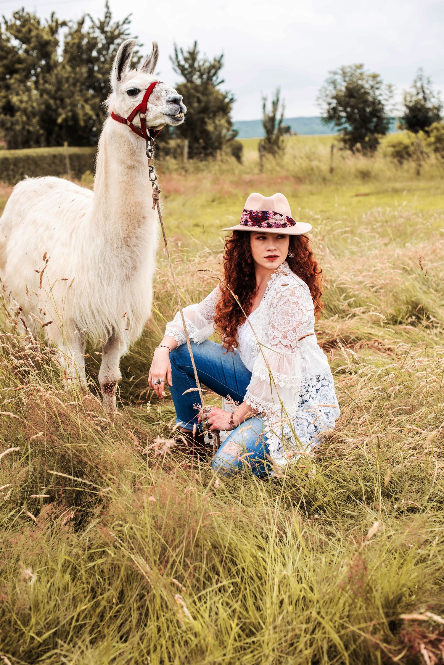 Pastoral scene with llamas and wildflowers in a sunny meadow.