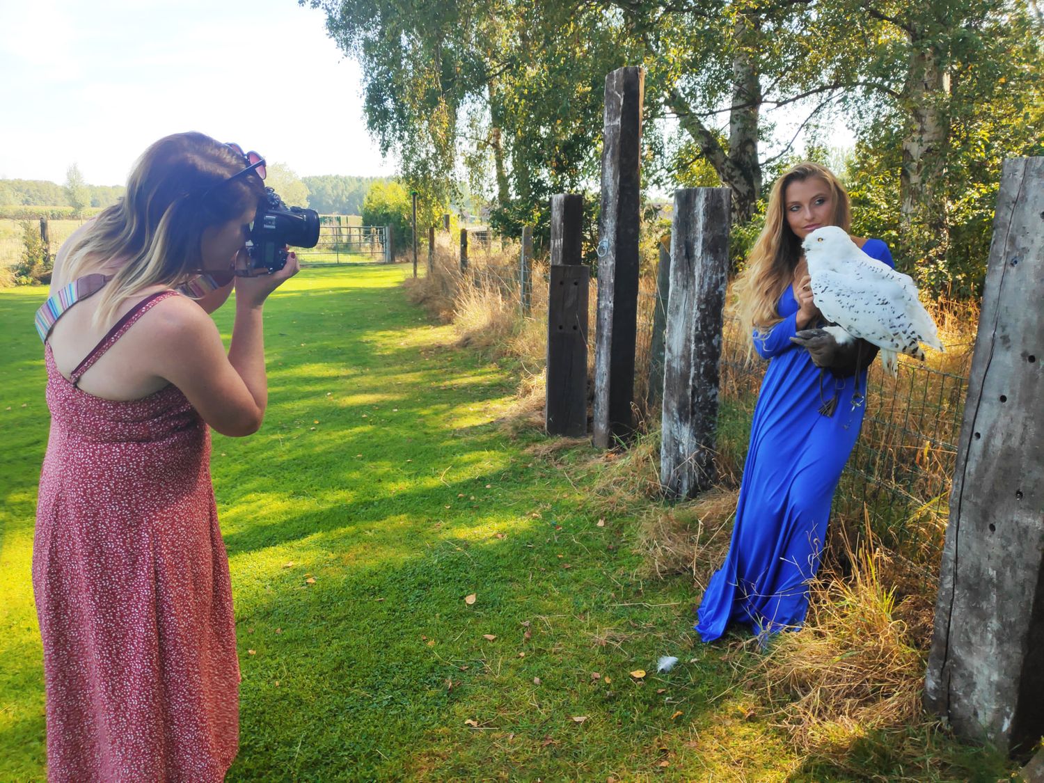 Photography session taking place in a sunlit park with birch trees.