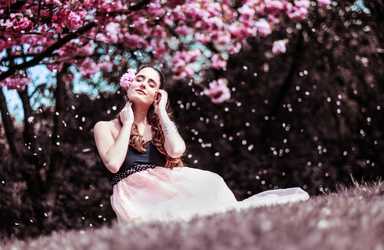 Person lying in grass with pink cherry blossoms overhead.