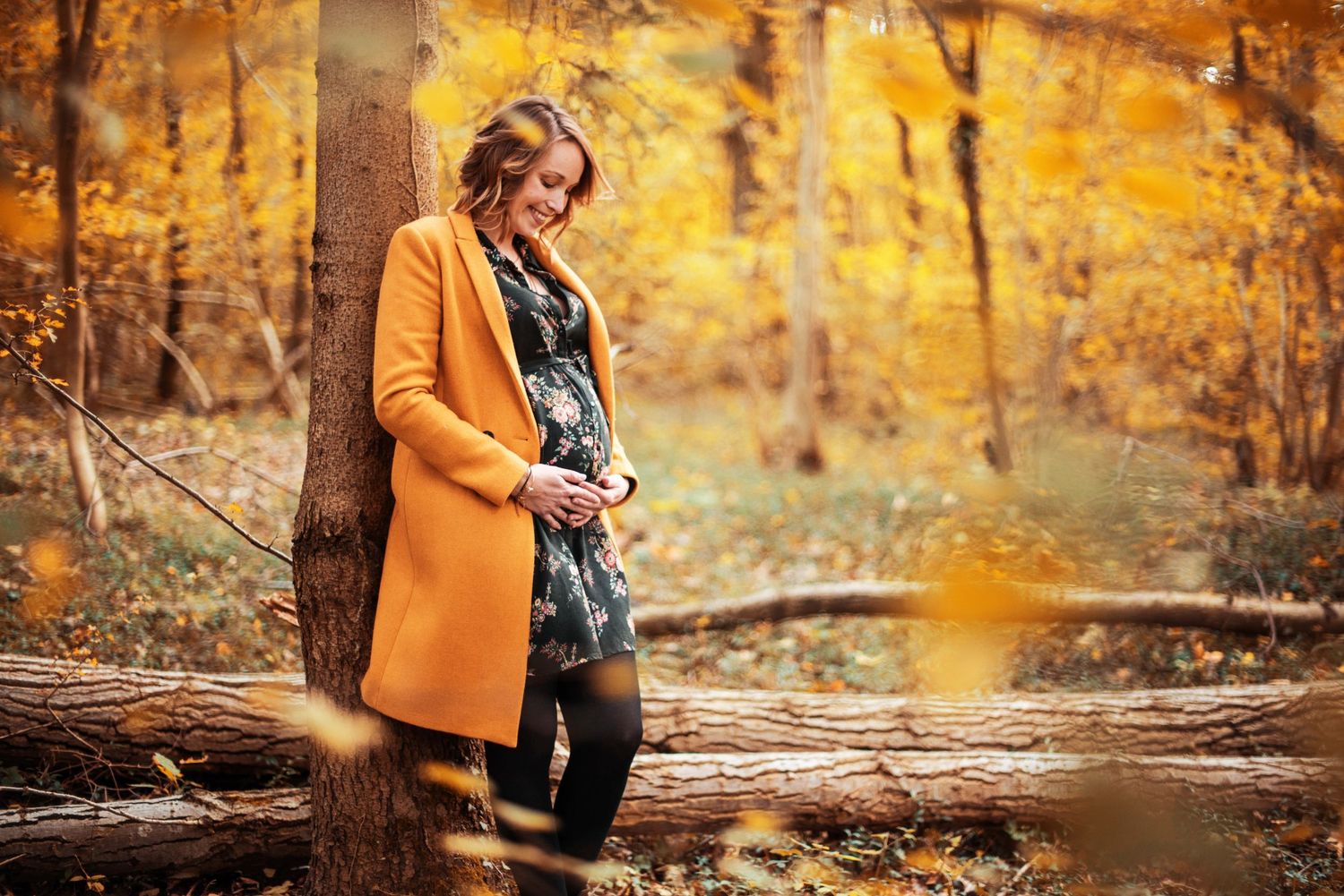 Autumn maternity photos with golden foliage and brown jacket in forest setting.