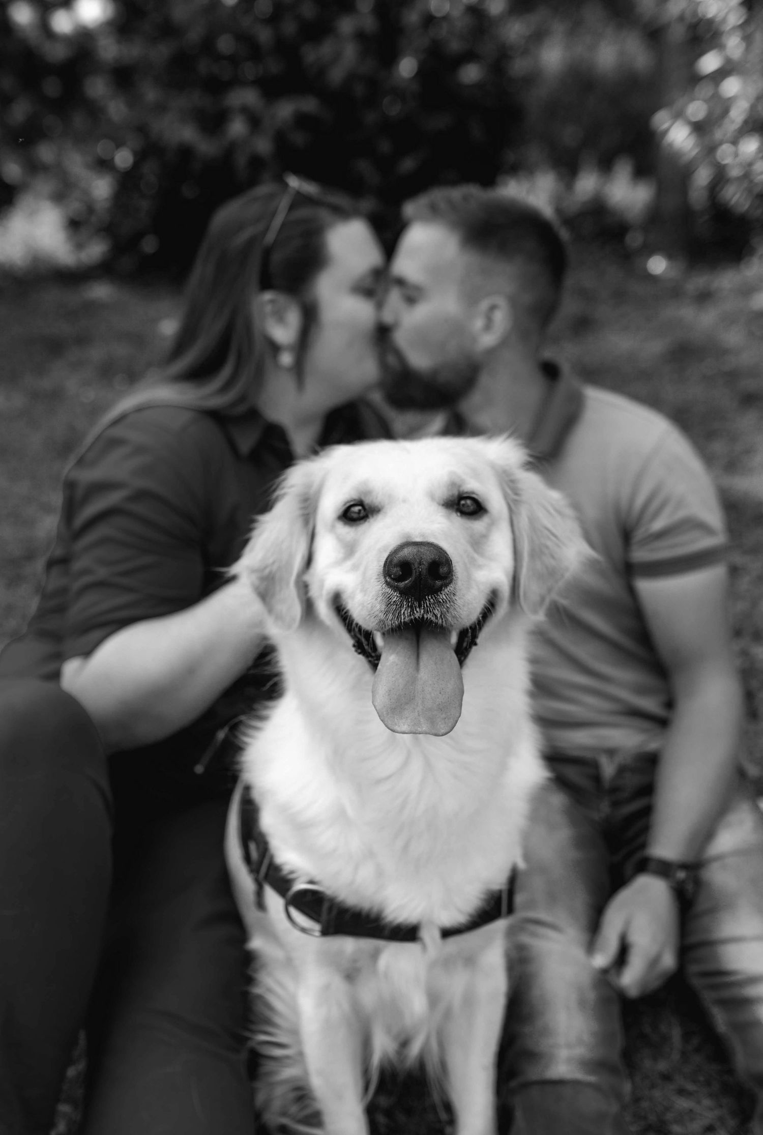 A happy white dog photobombs a romantic outdoor photoshoot with a big smile.