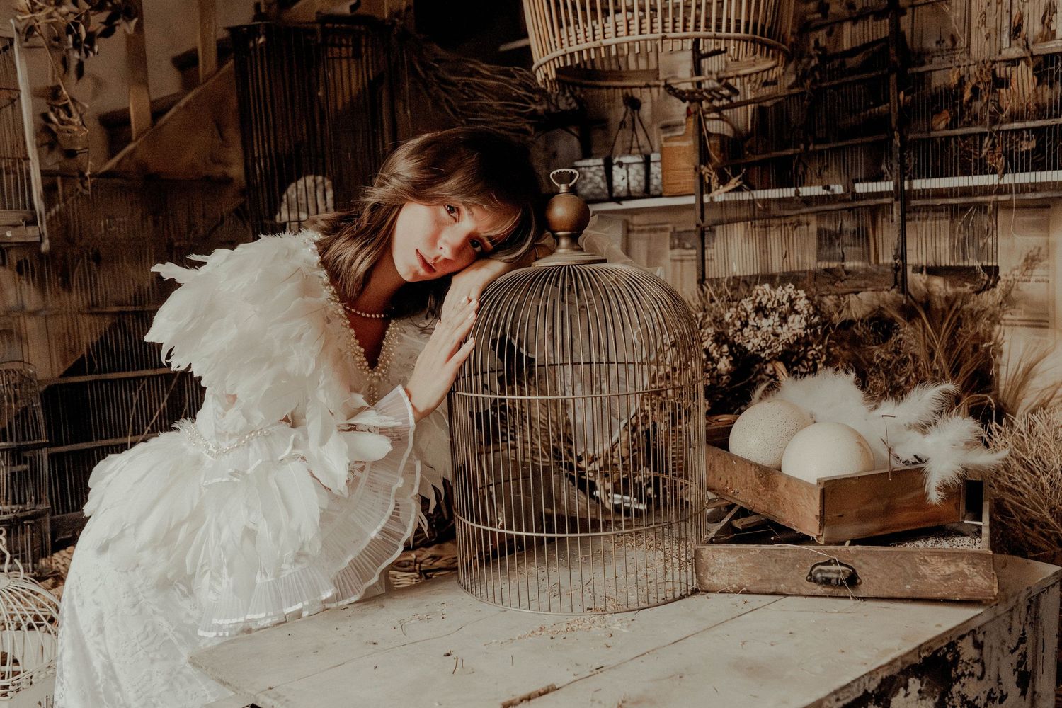 Sepia-toned scene with decorative bird cages and white ruffled costume.