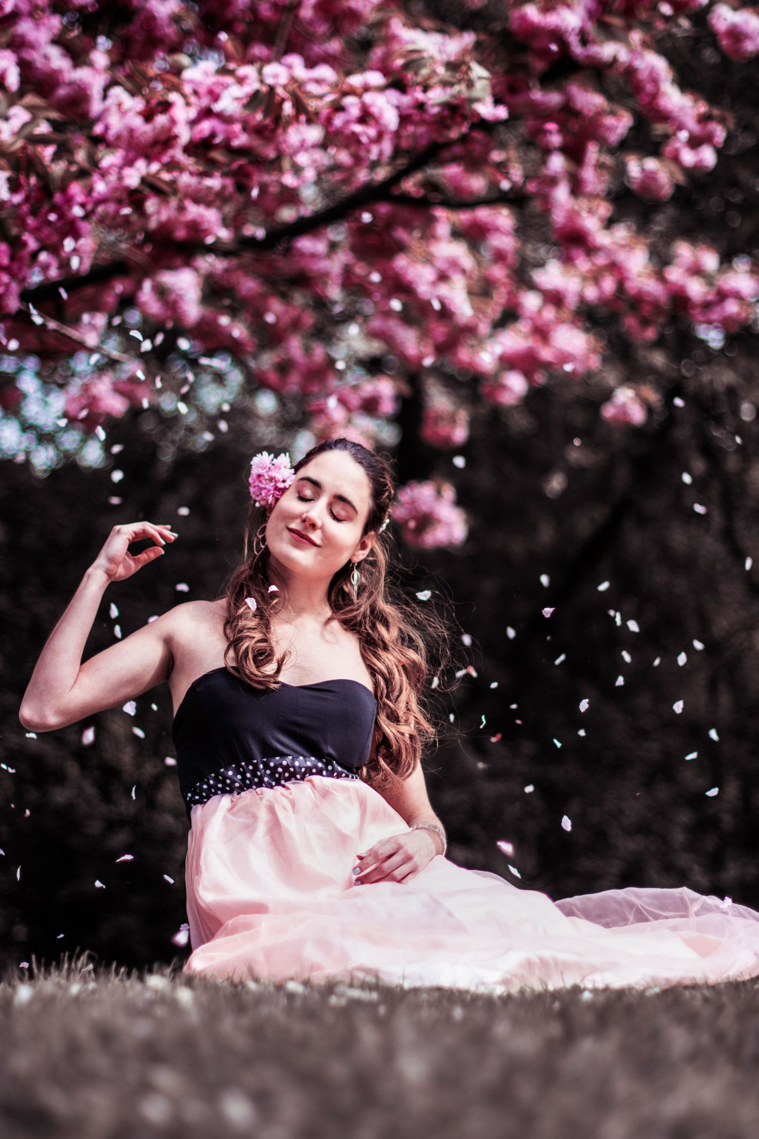 Person in pink dress reclines under blooming cherry blossom trees.