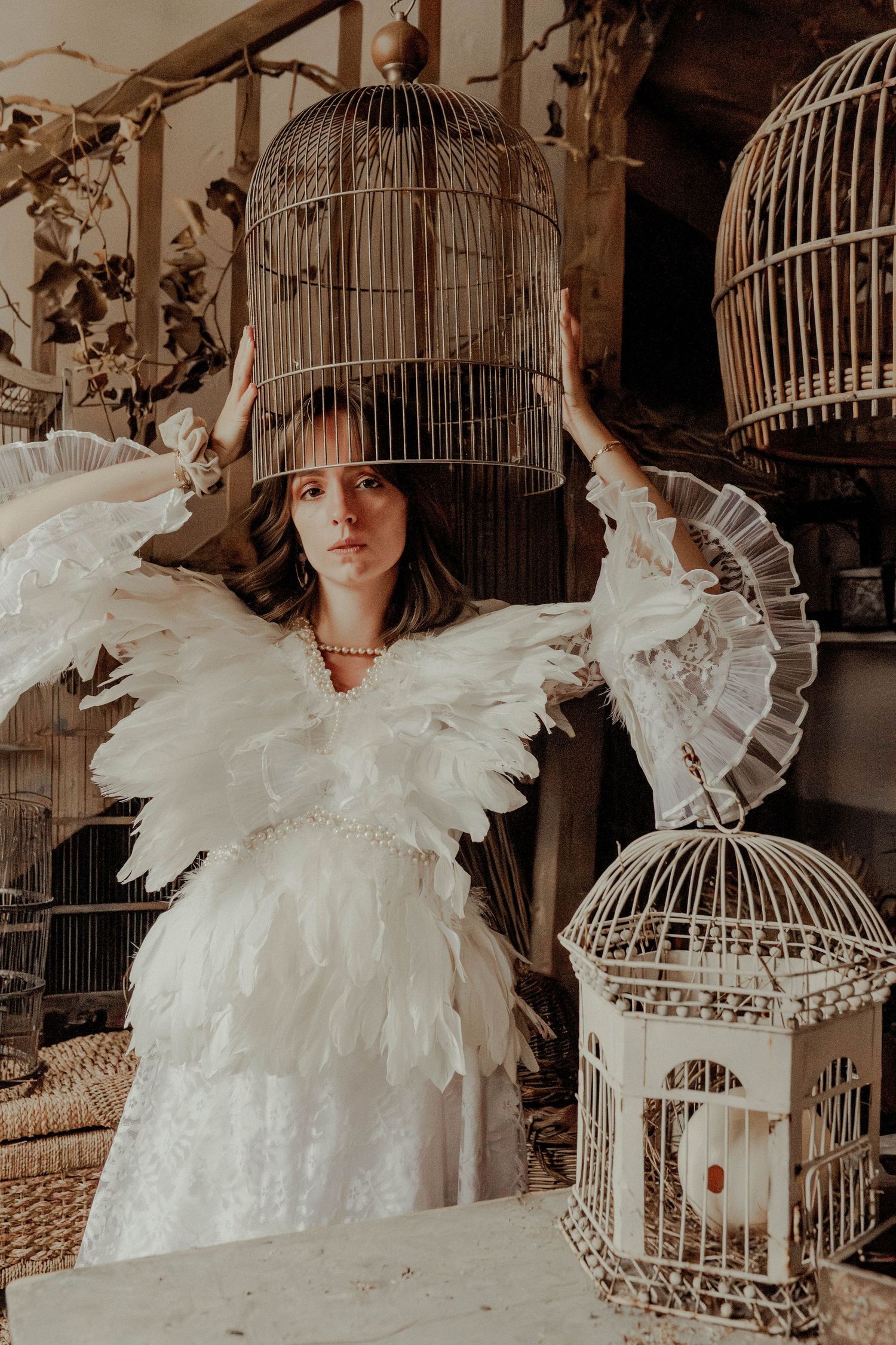 Artistic composition with white ruffled collar and vintage bird cages.