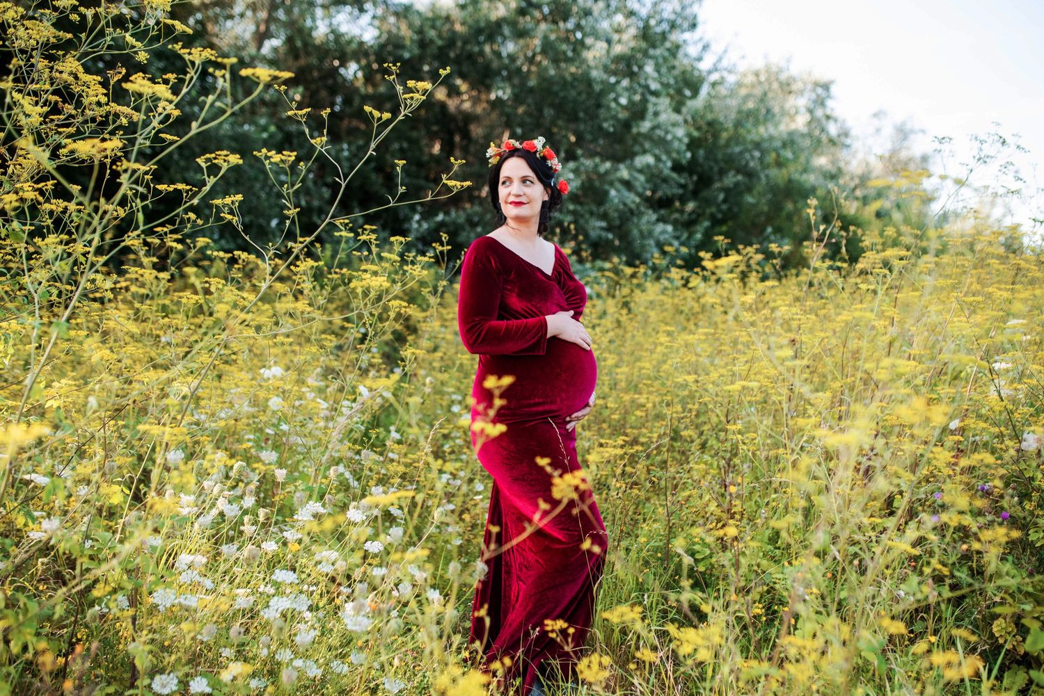 Maternity photography session in burgundy dress among yellow wildflowers.