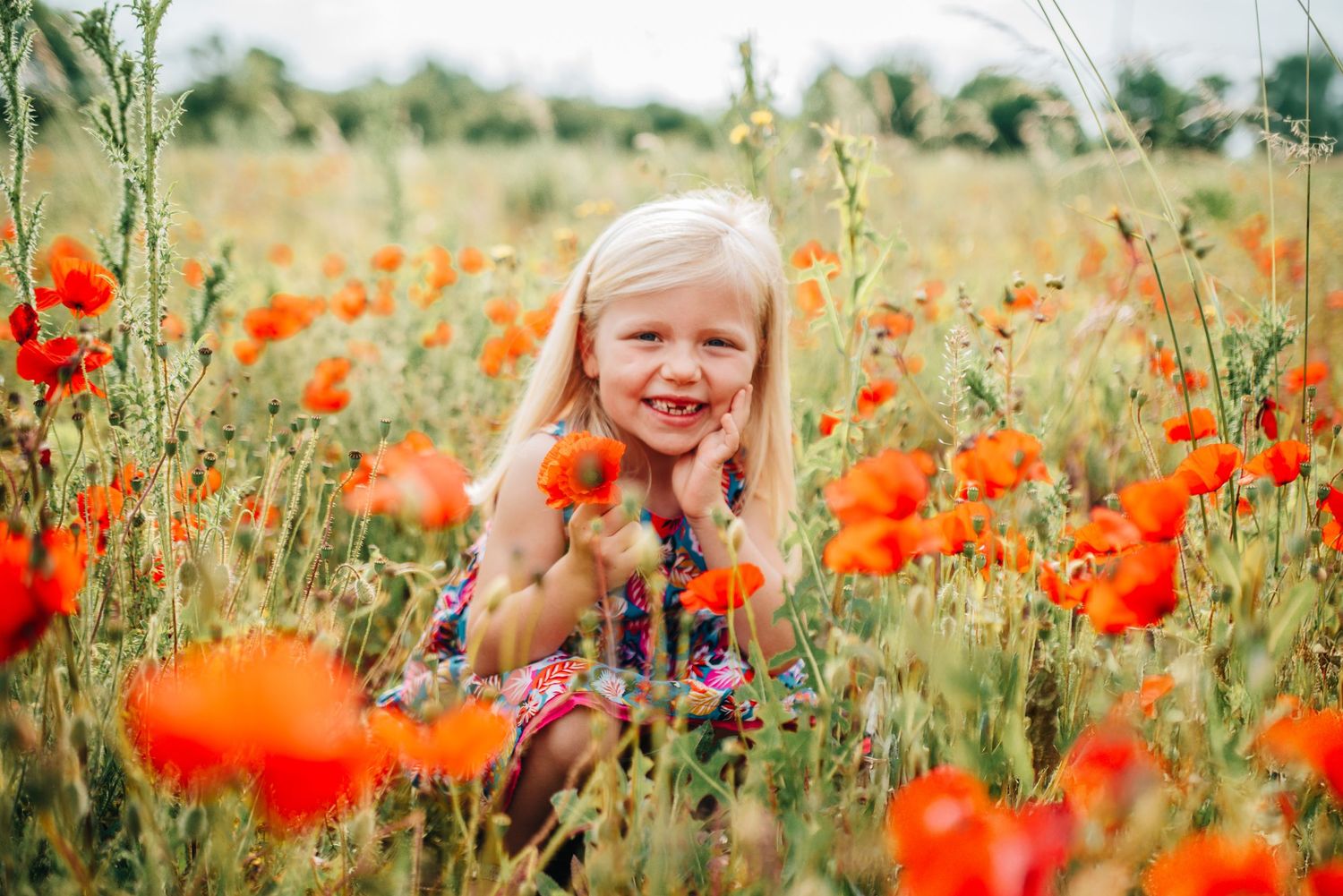 Child playing among bright red poppies in summer meadow.