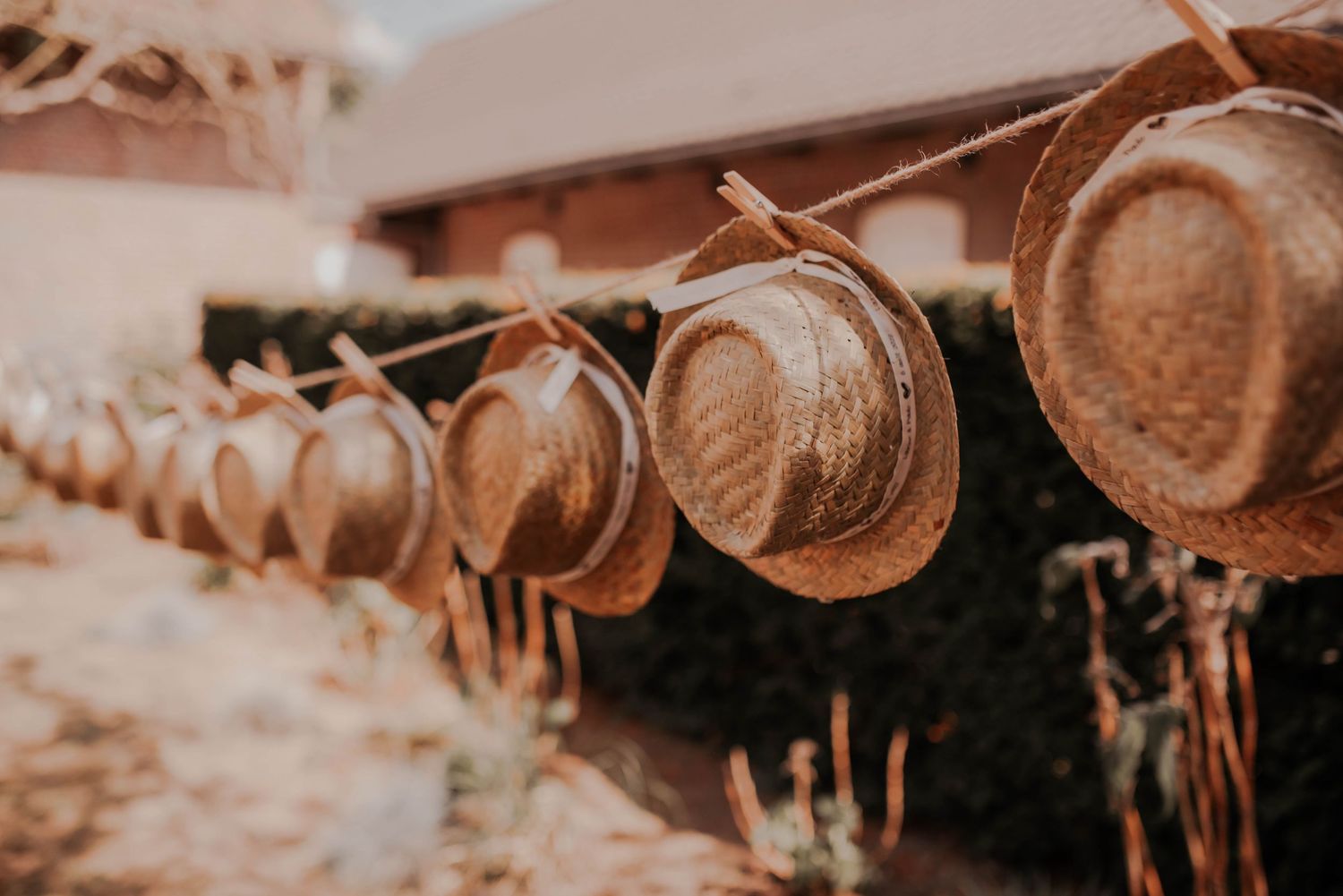 Rustic wooden log slices arranged in a decorative display.