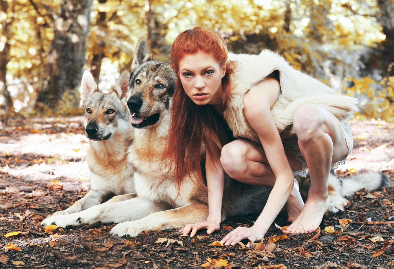 Artistic woodland photoshoot featuring wolf and white dress against fallen leaves.
