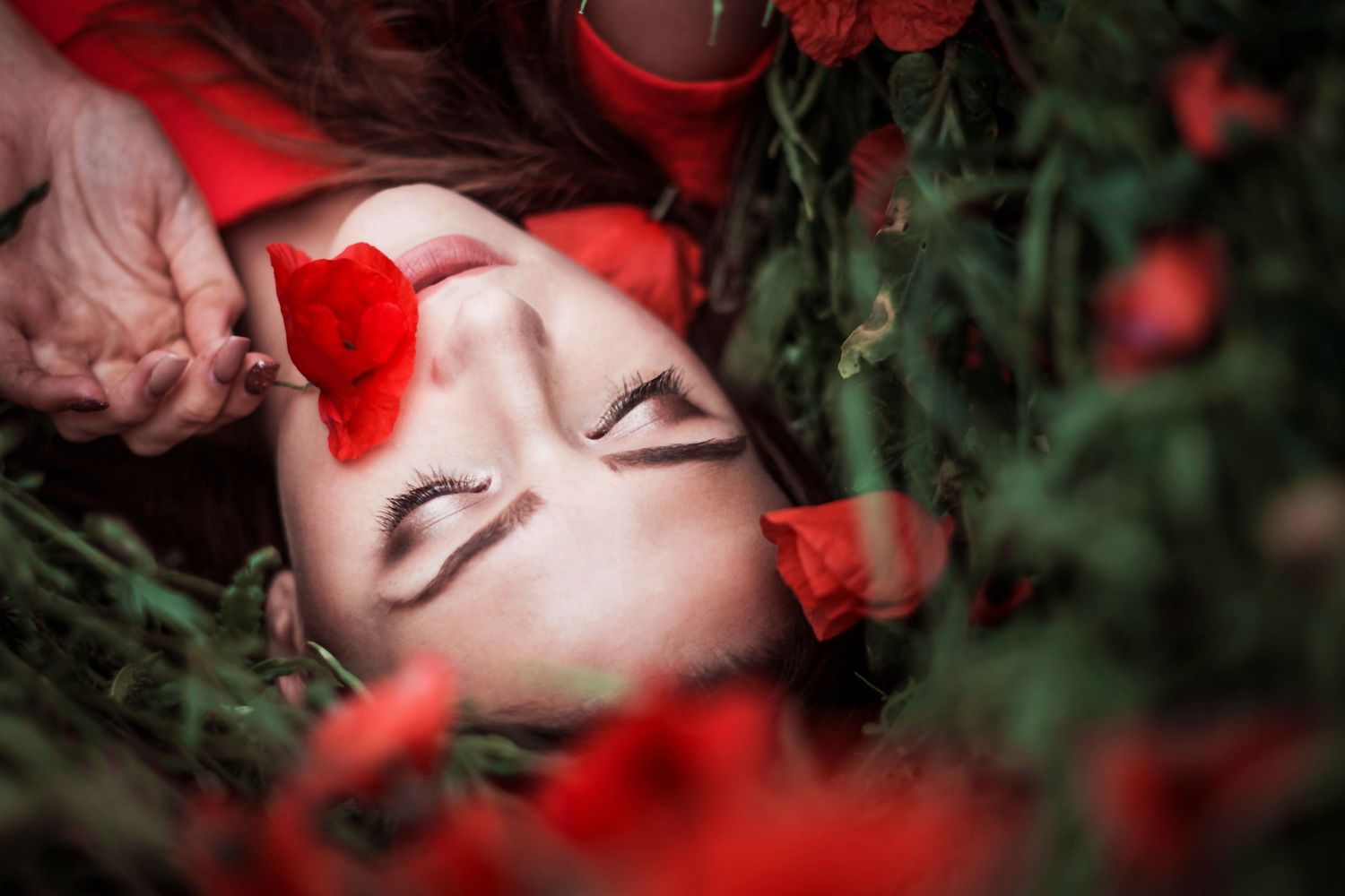 Artistic portrait series with red roses and dramatic lighting creating a romantic mood.