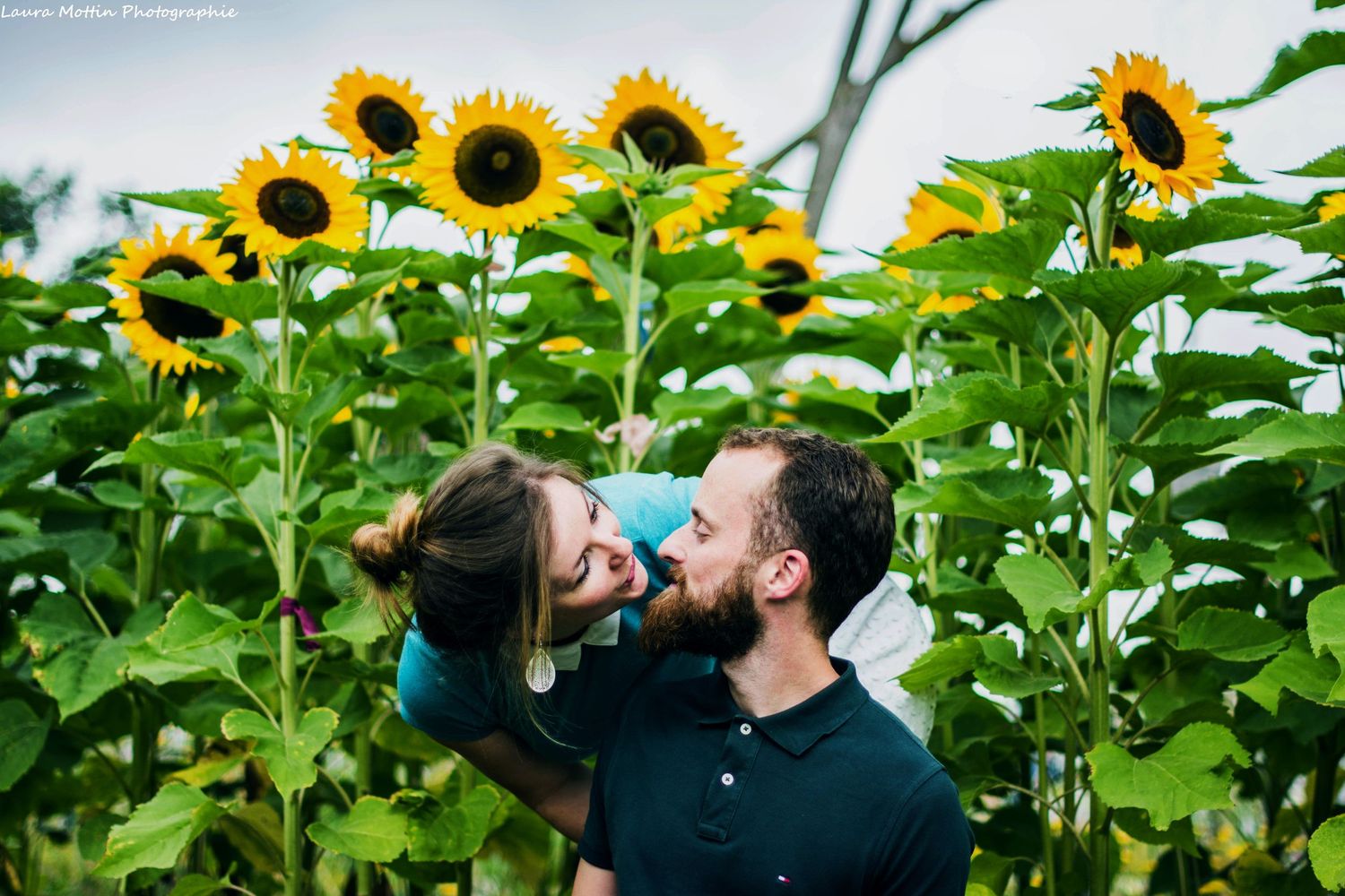 Vibrant yellow sunflowers in a garden with a couple sharing intimate moments among the tall green stalks.