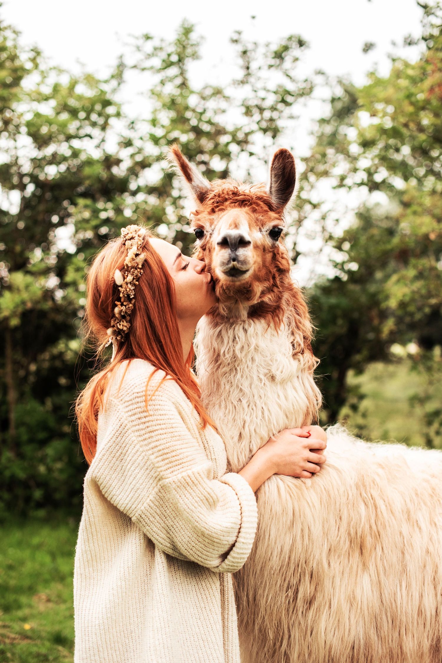 Cream-colored llama being hugged in lush green outdoor setting.