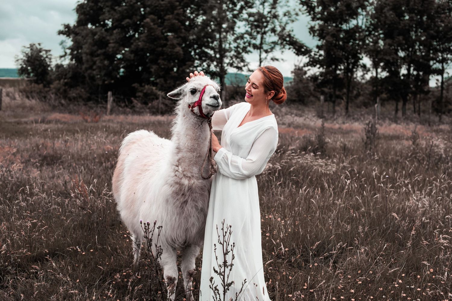Dreamy monochrome portraits with white dress and llama in field setting.