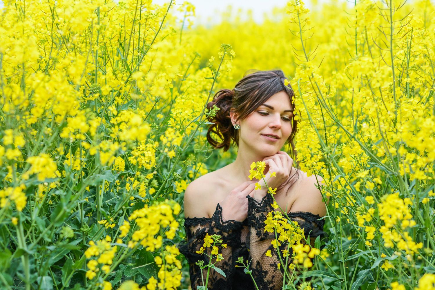 Figure in black dress surrounded by bright yellow blooming canola flowers.