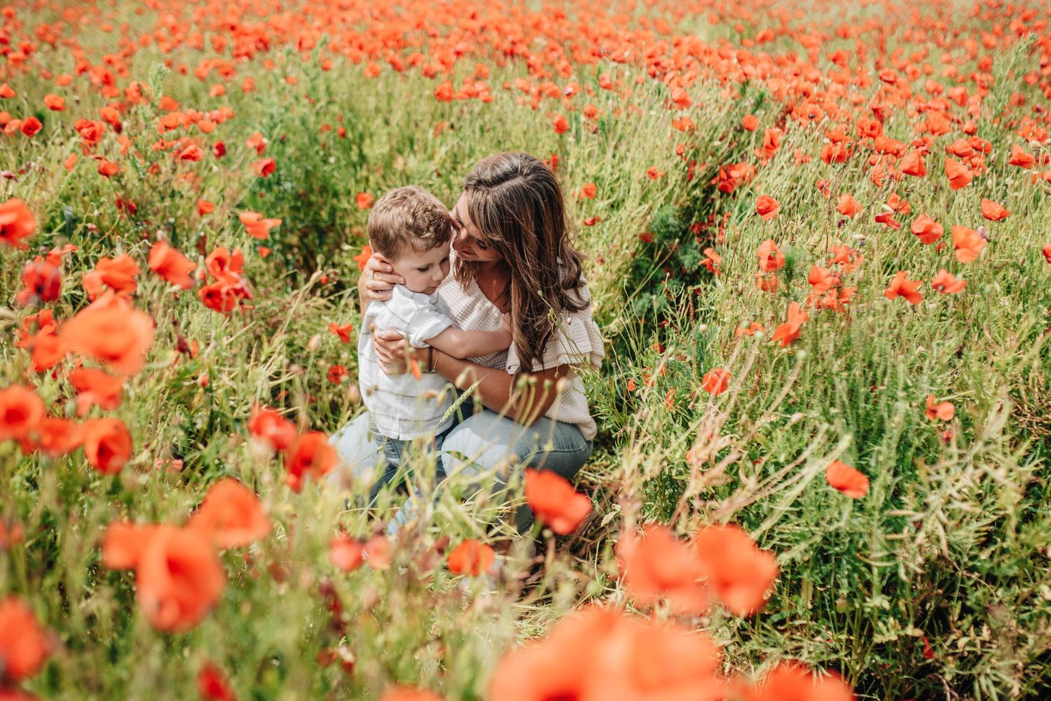 Beautiful red poppy field with vibrant flowers stretching across the landscape.