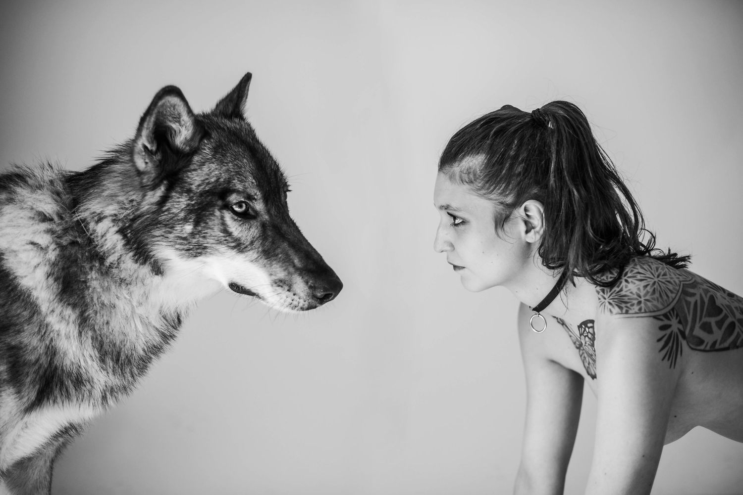 Minimalist black and white photo sequence with person and wolf in studio setting.