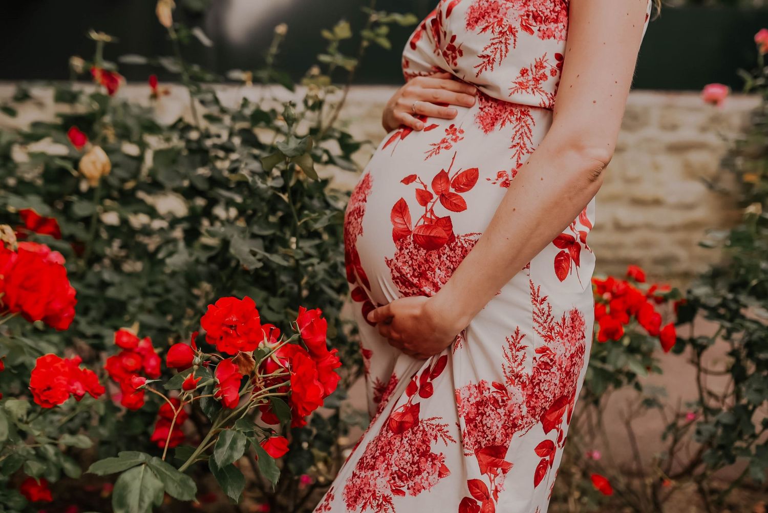 Maternity photography session in a red floral dress among blooming roses.