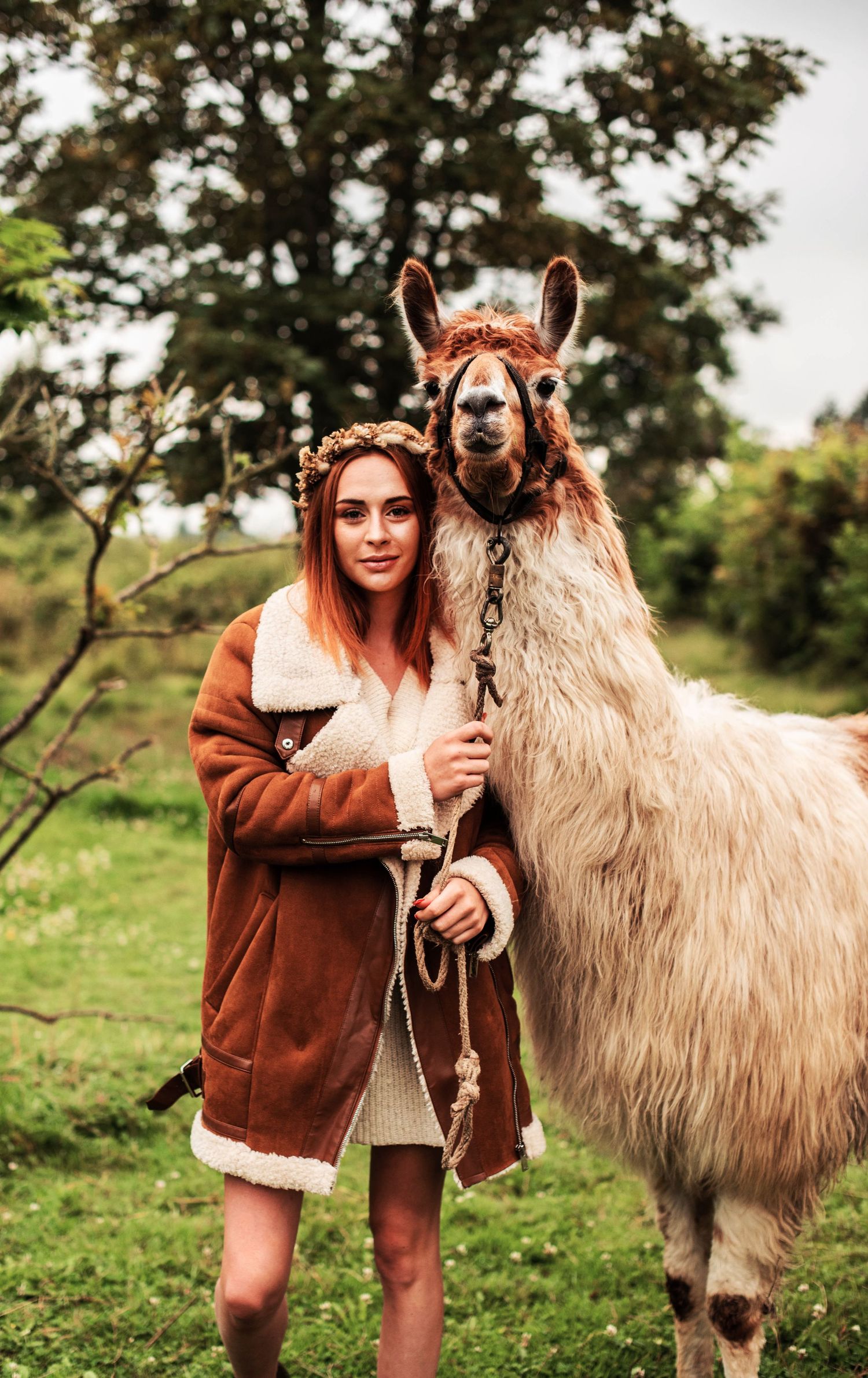 Person in brown jacket poses with fluffy llama in green pastoral setting.